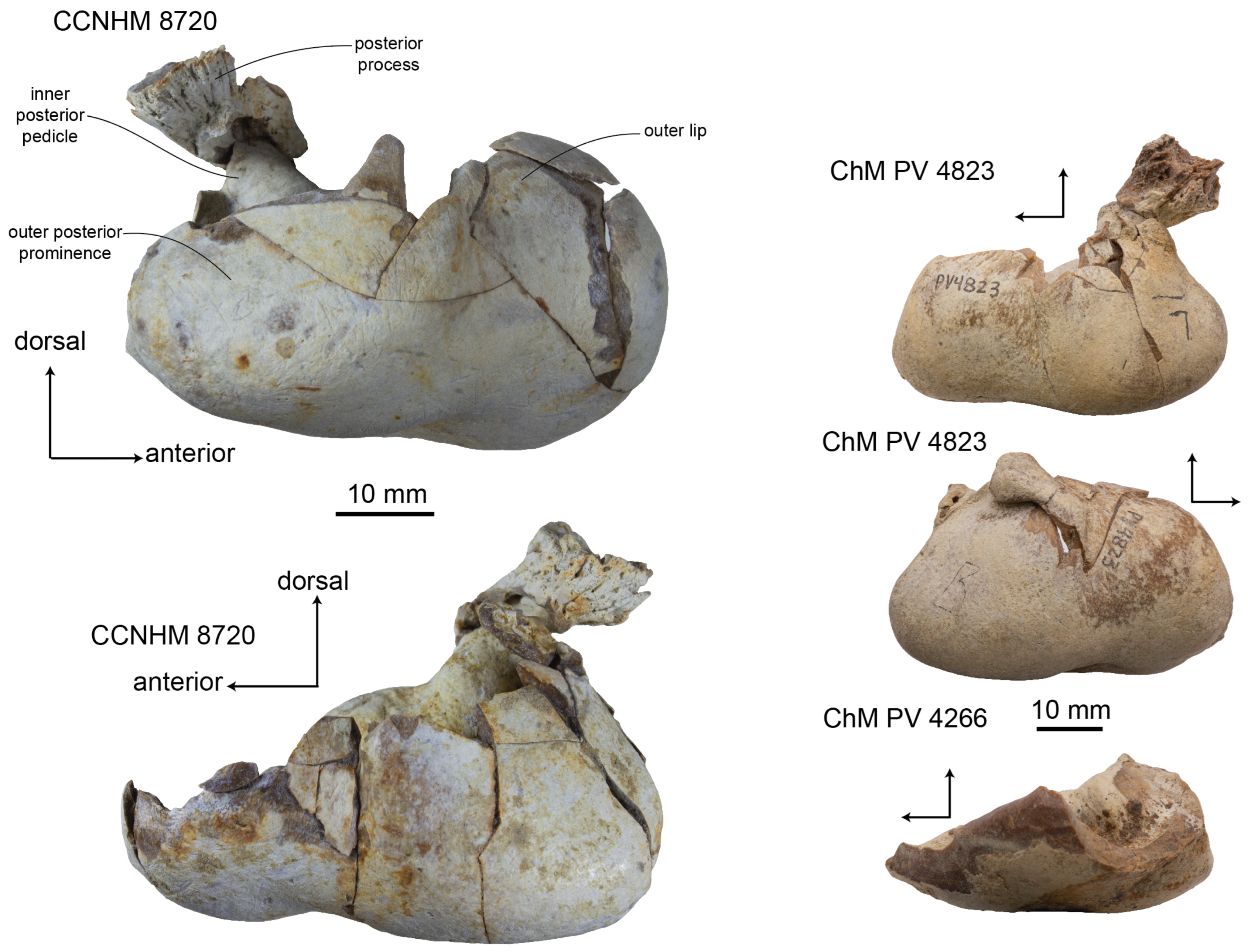 Diversity 15 01154 g014