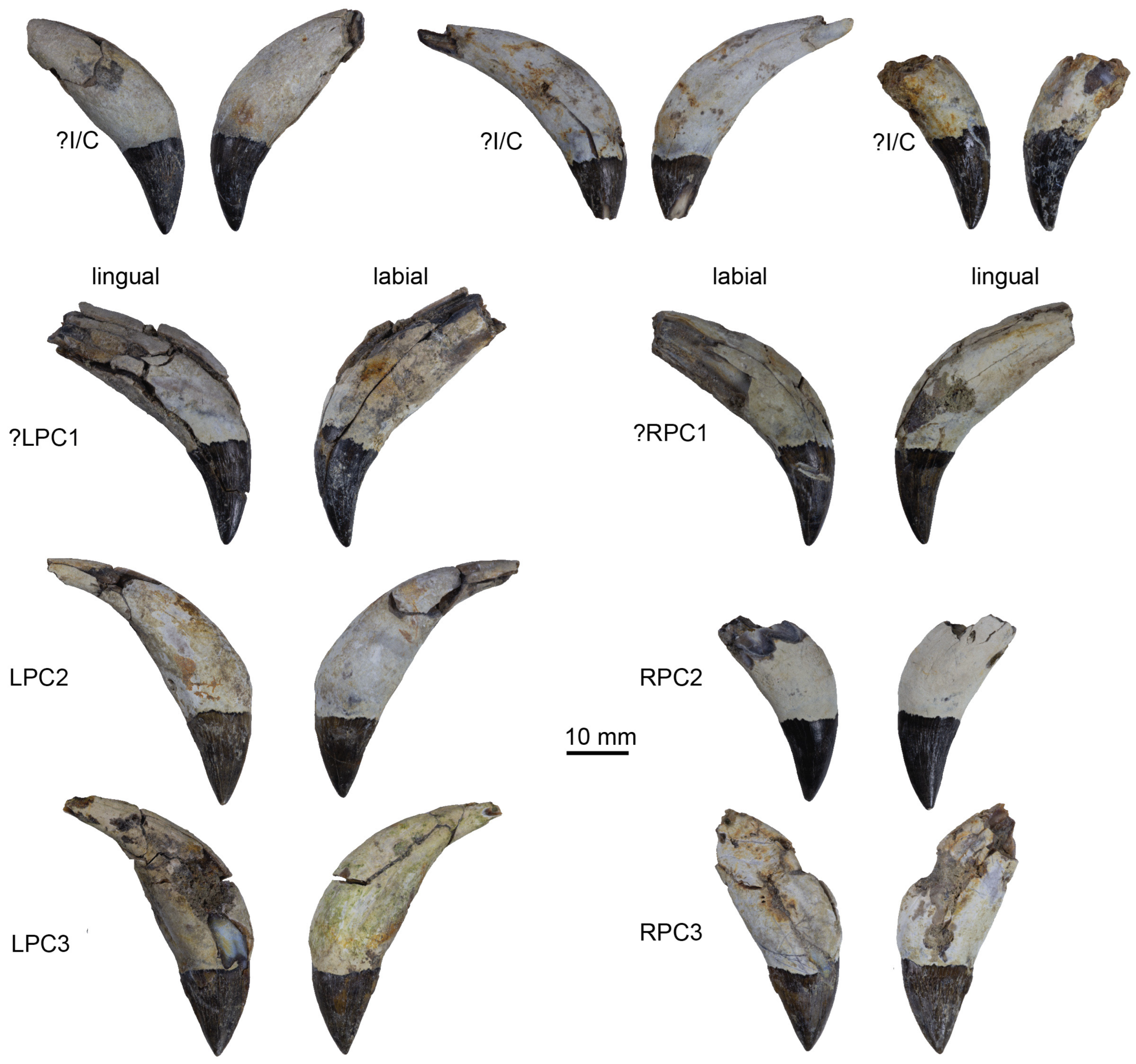 Diversity 15 01154 g018