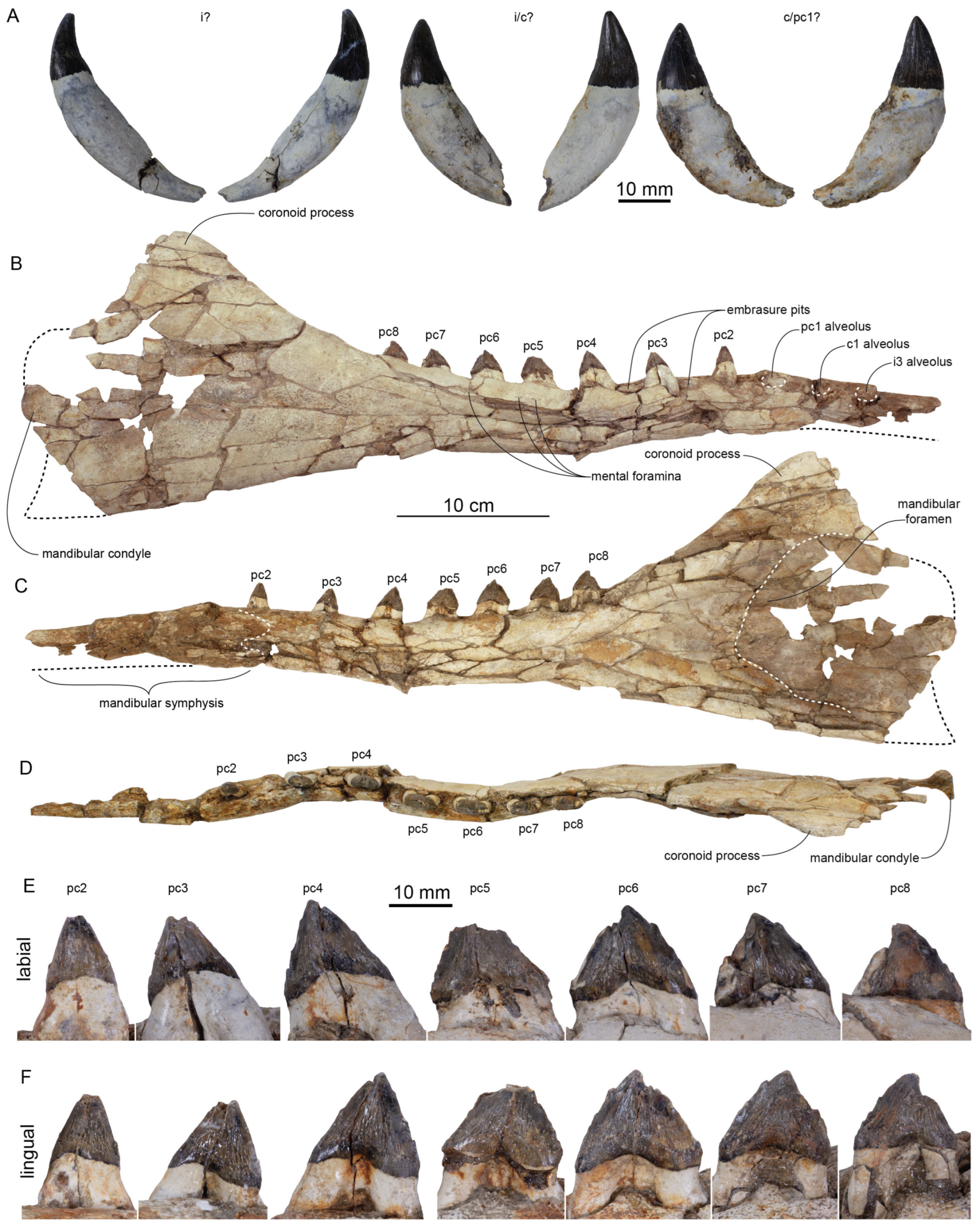 Diversity 15 01154 g020