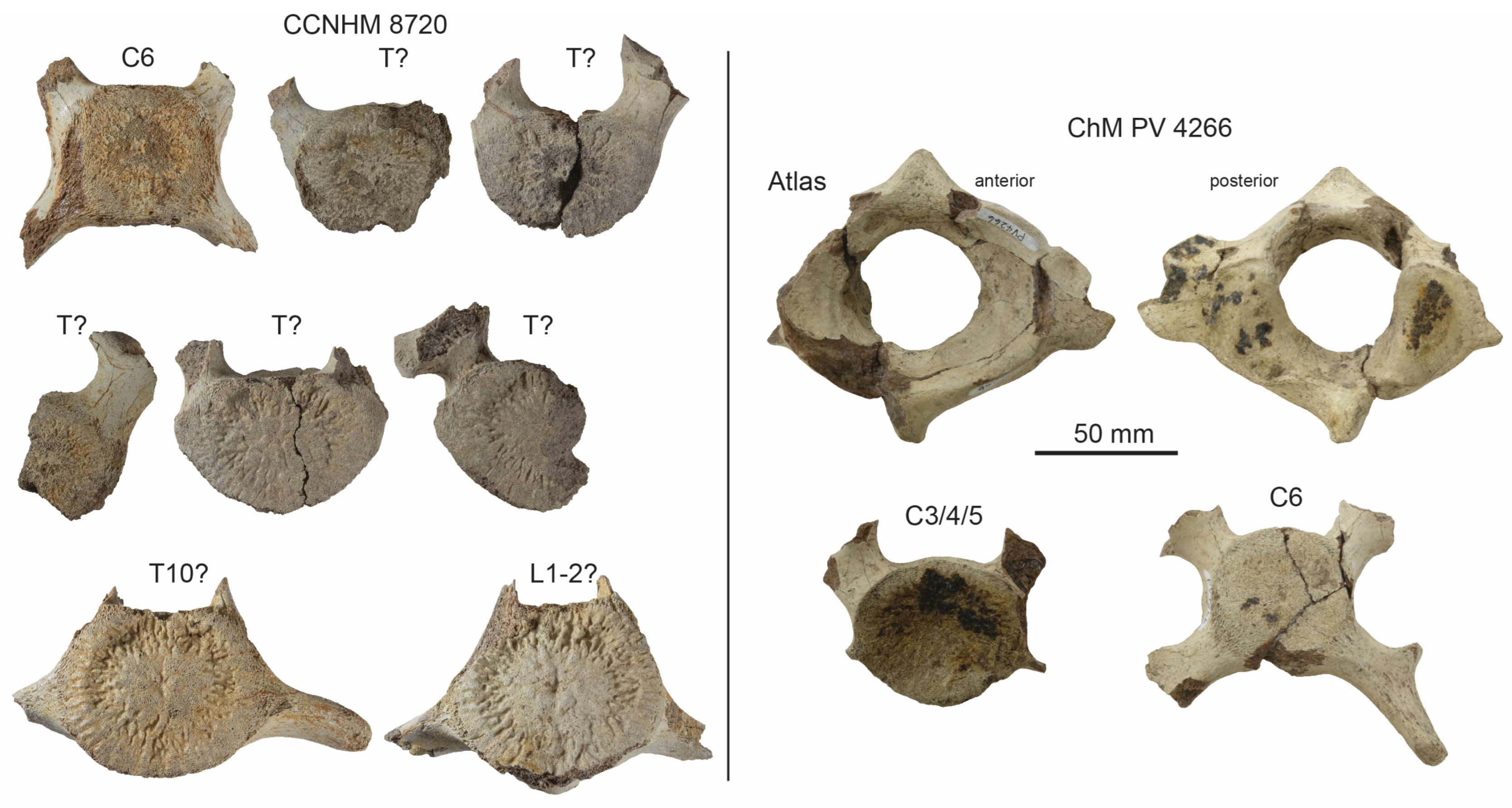 Diversity 15 01154 g021