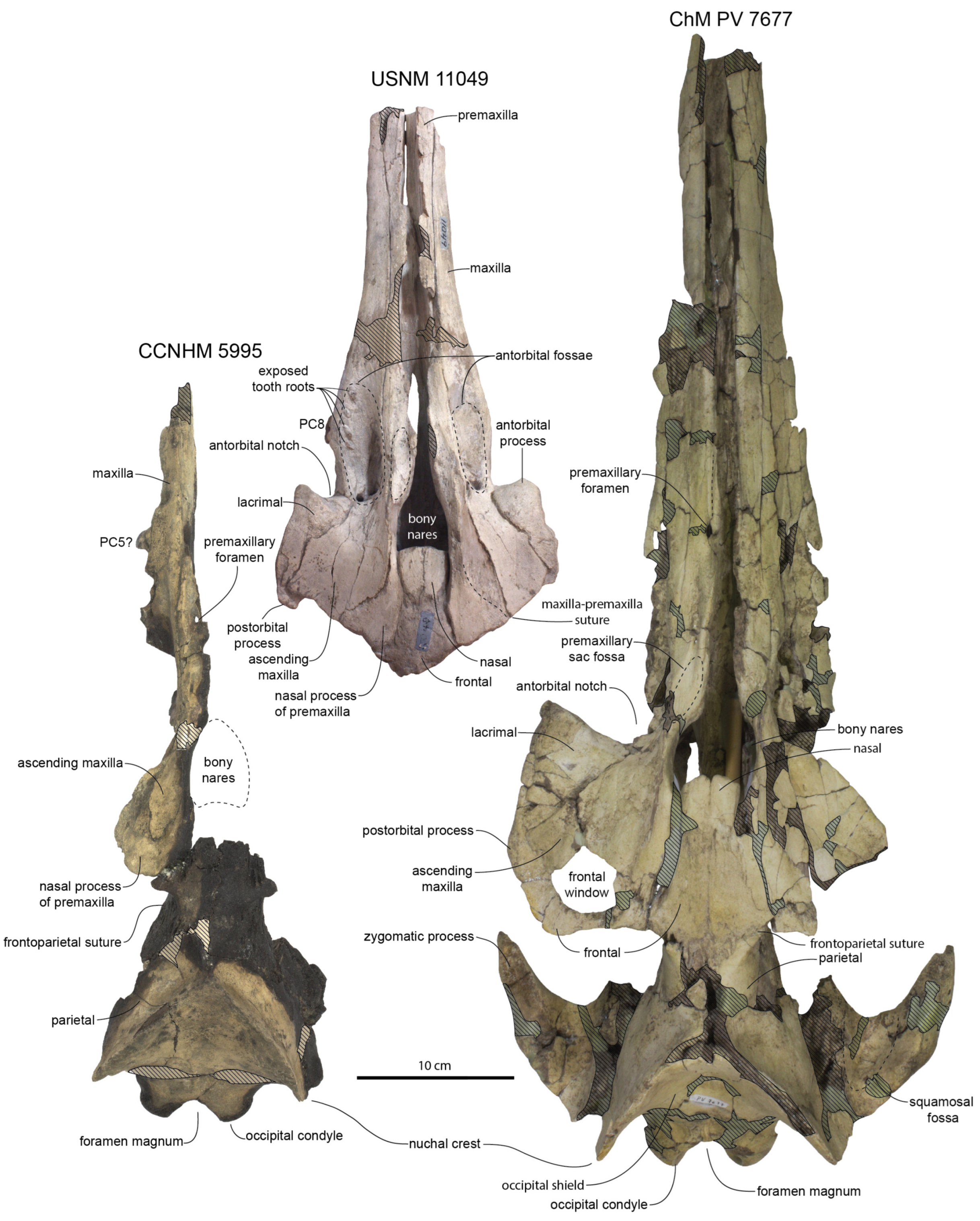 Diversity 15 01154 g022