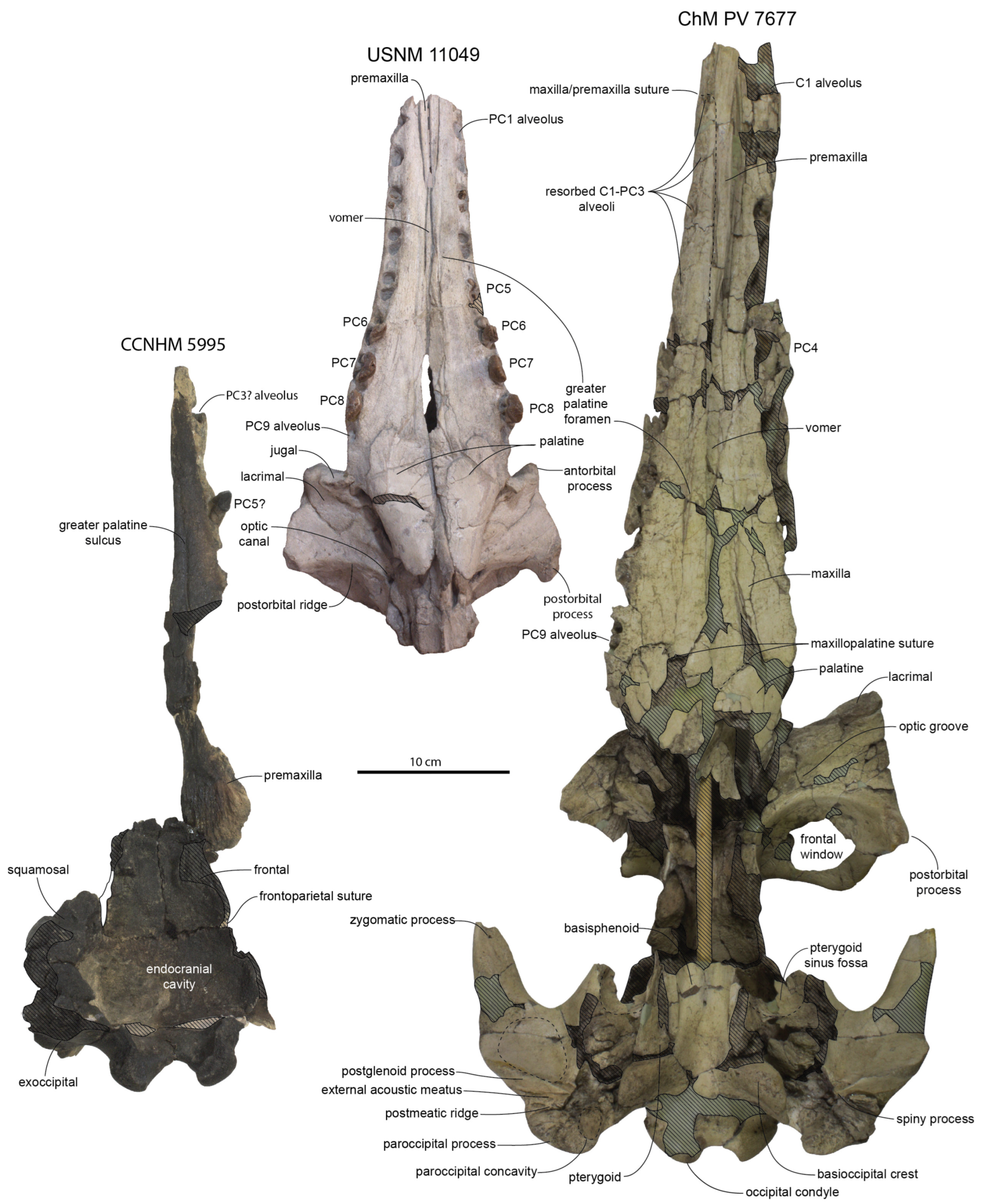 Diversity 15 01154 g023