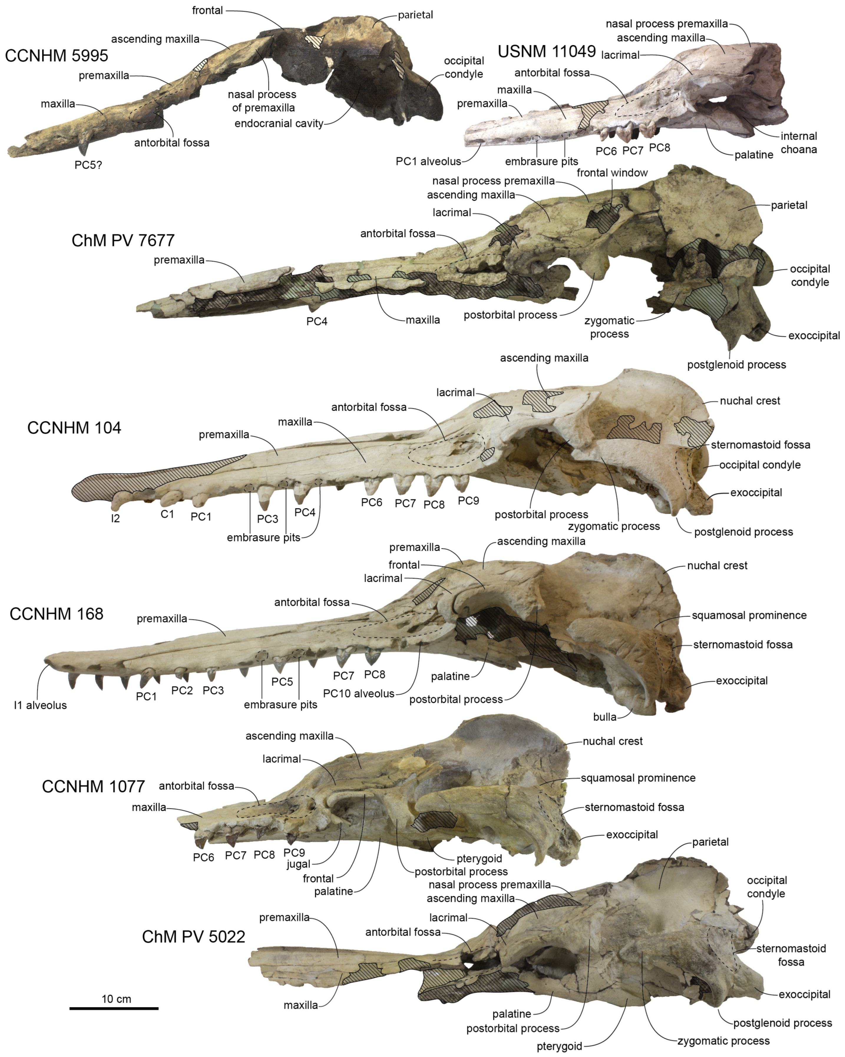 Diversity 15 01154 g024