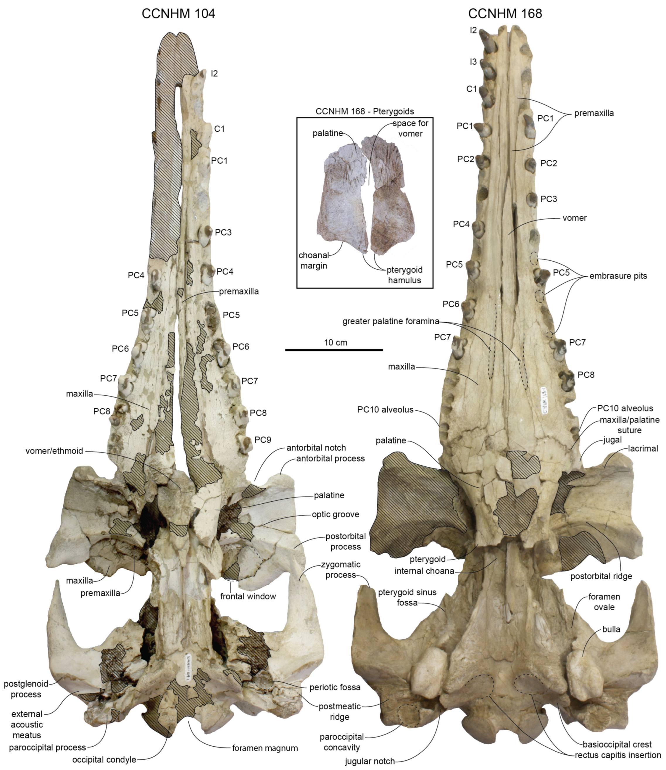 Diversity 15 01154 g027