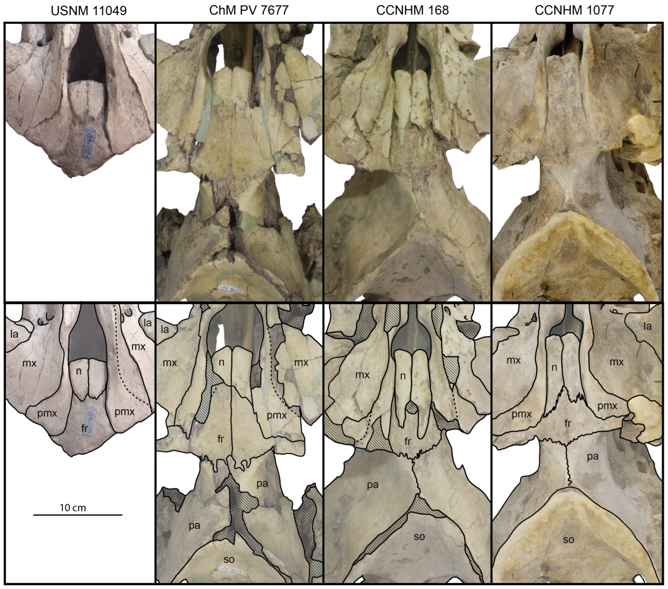 Diversity 15 01154 g031