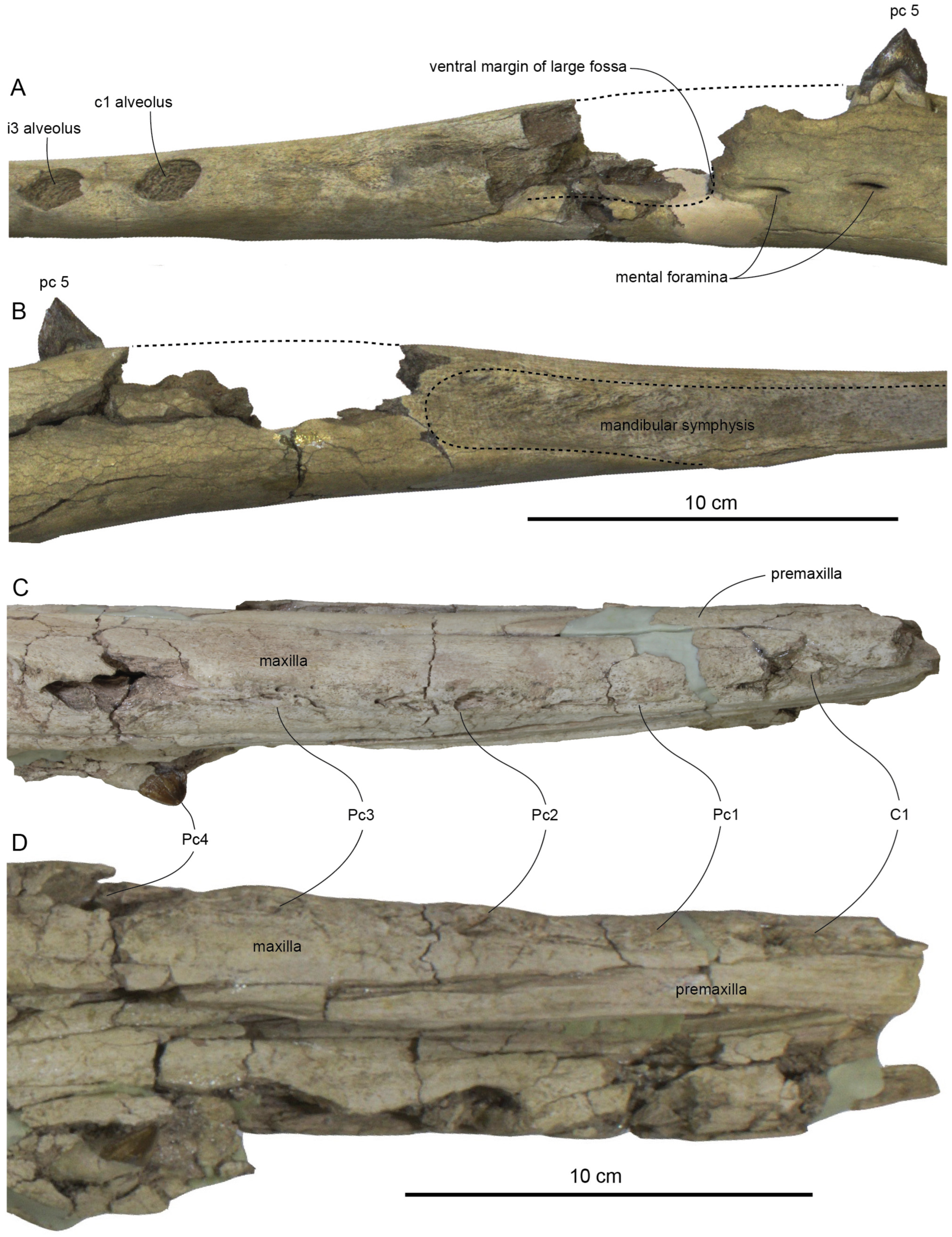 Diversity 15 01154 g033