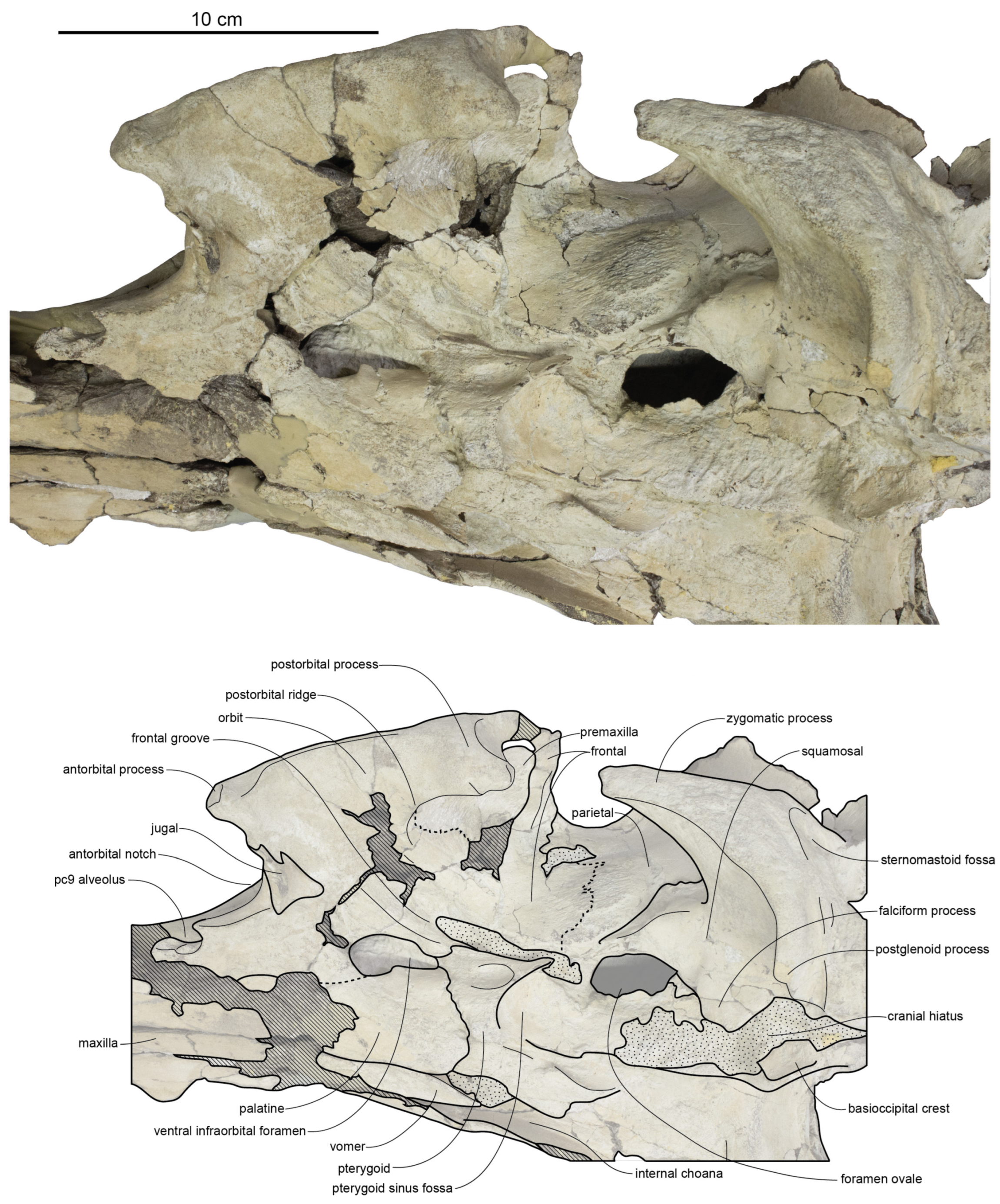 Diversity 15 01154 g036