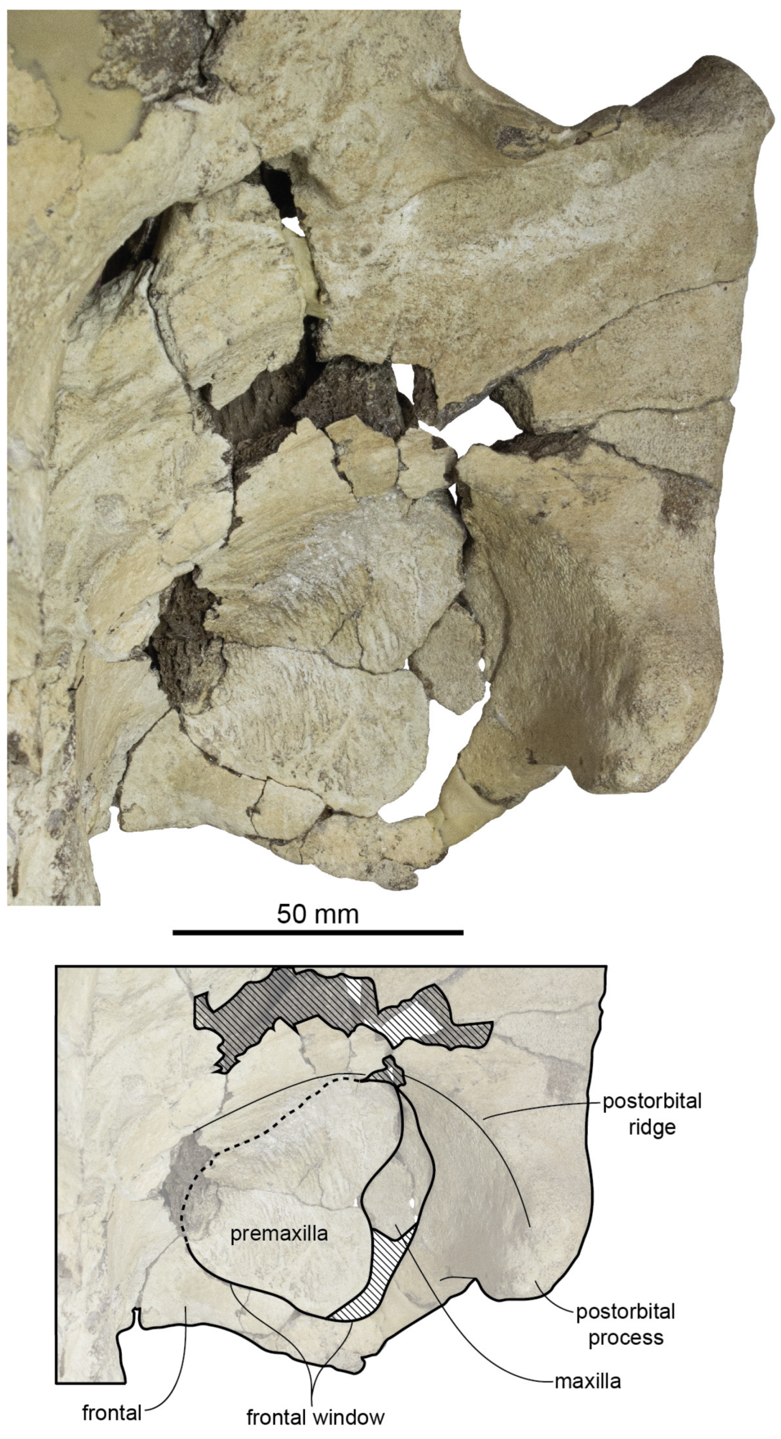 Diversity 15 01154 g037