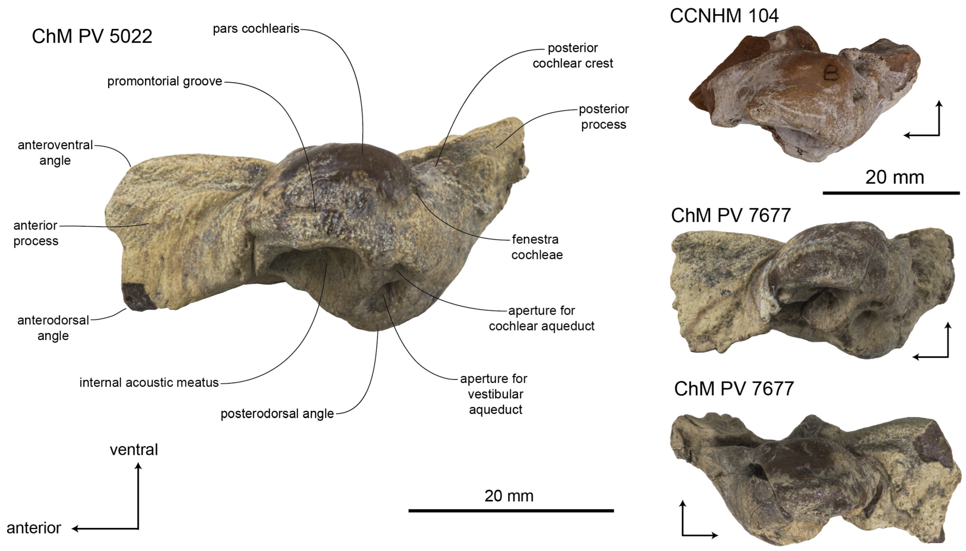 Diversity 15 01154 g042