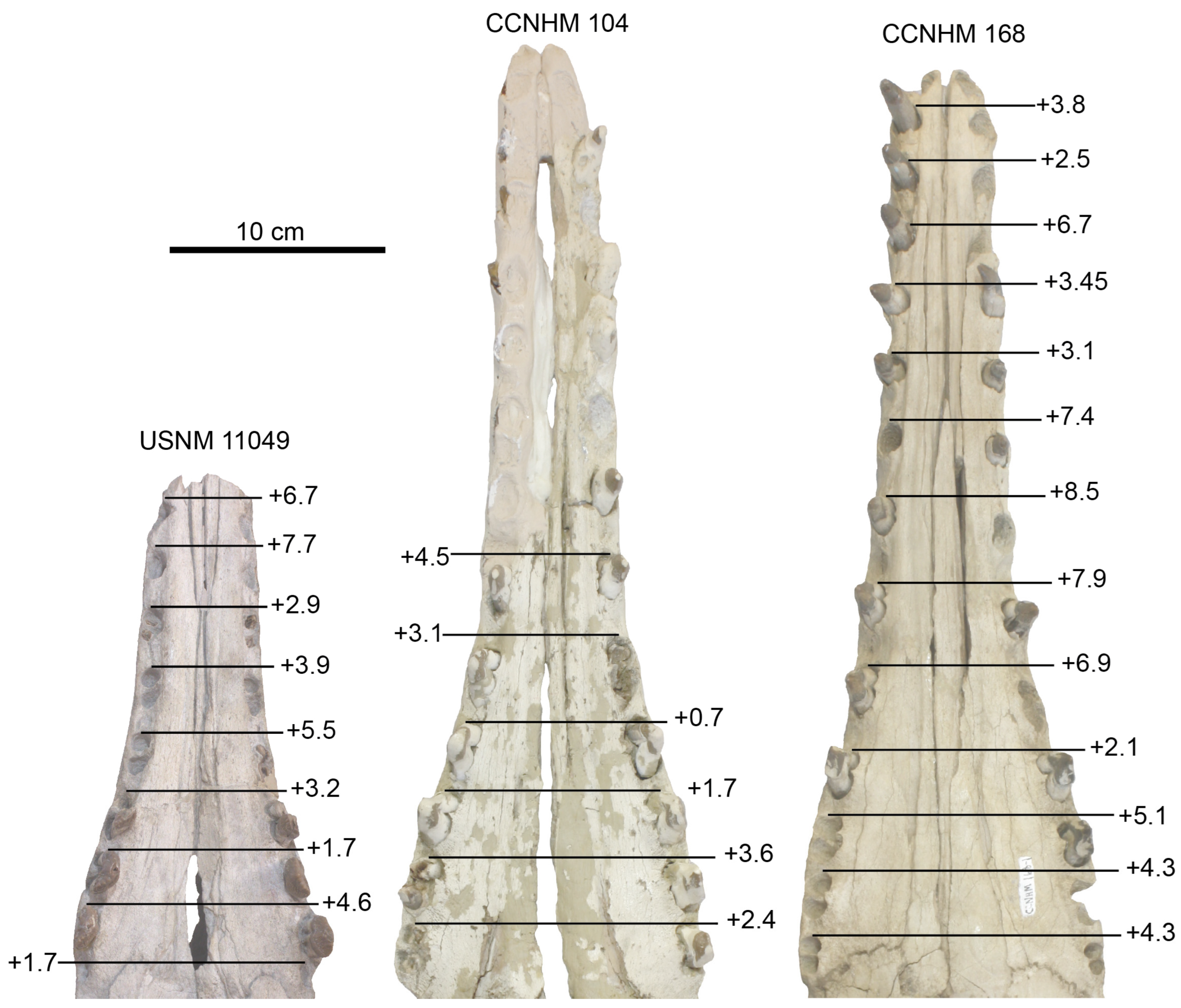 Diversity 15 01154 g049