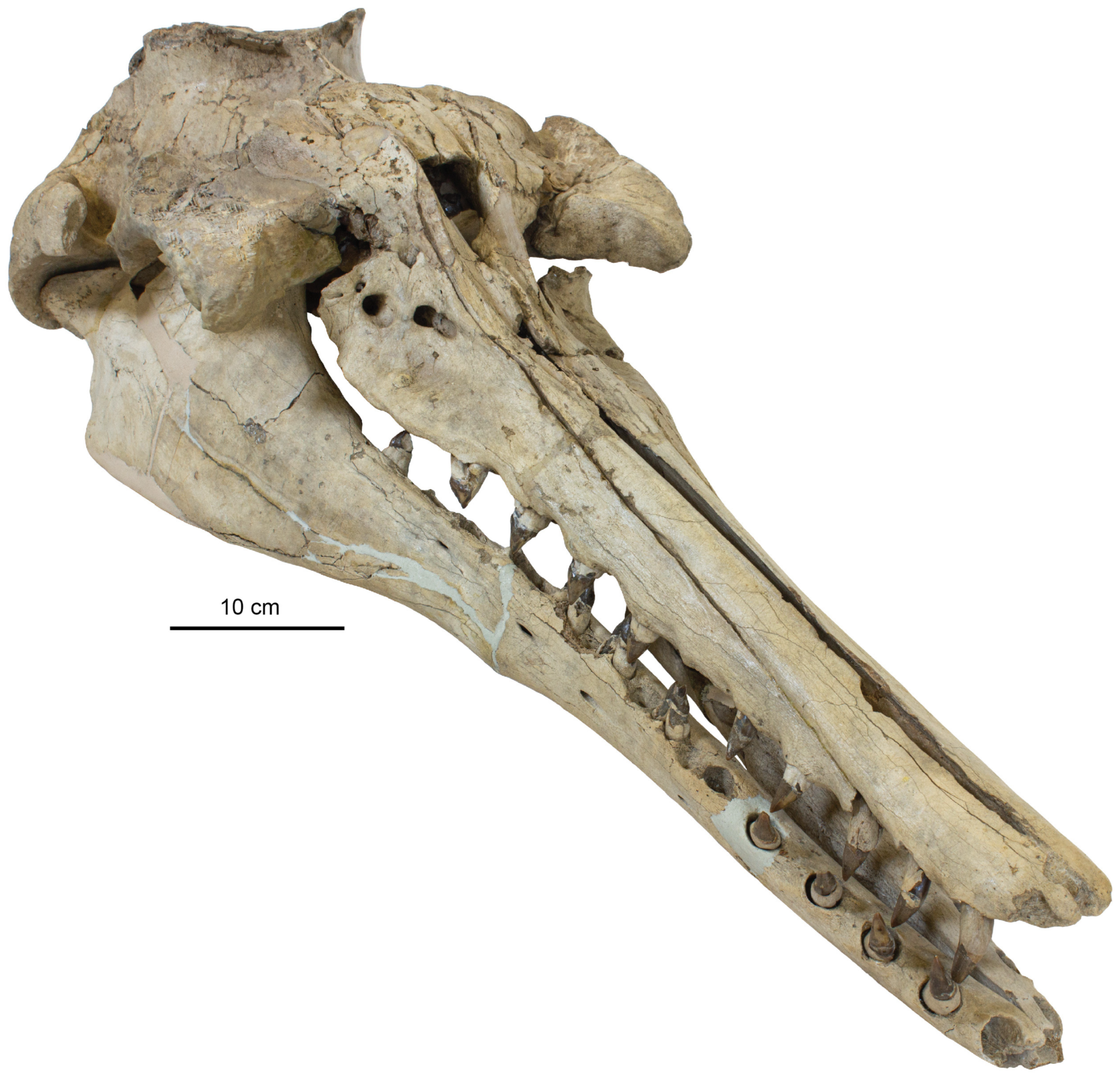 Diversity 15 01154 g053