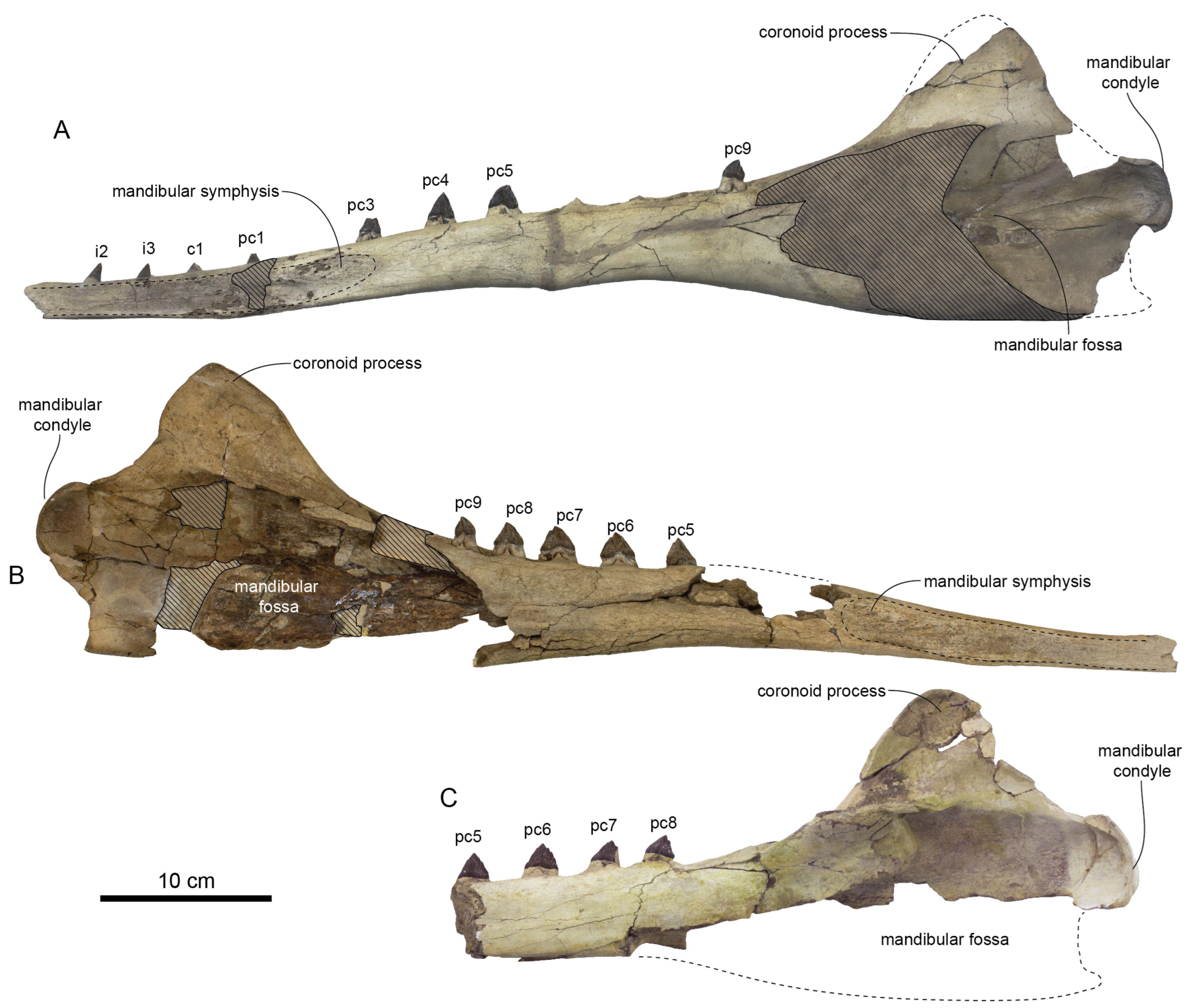 Diversity 15 01154 g055