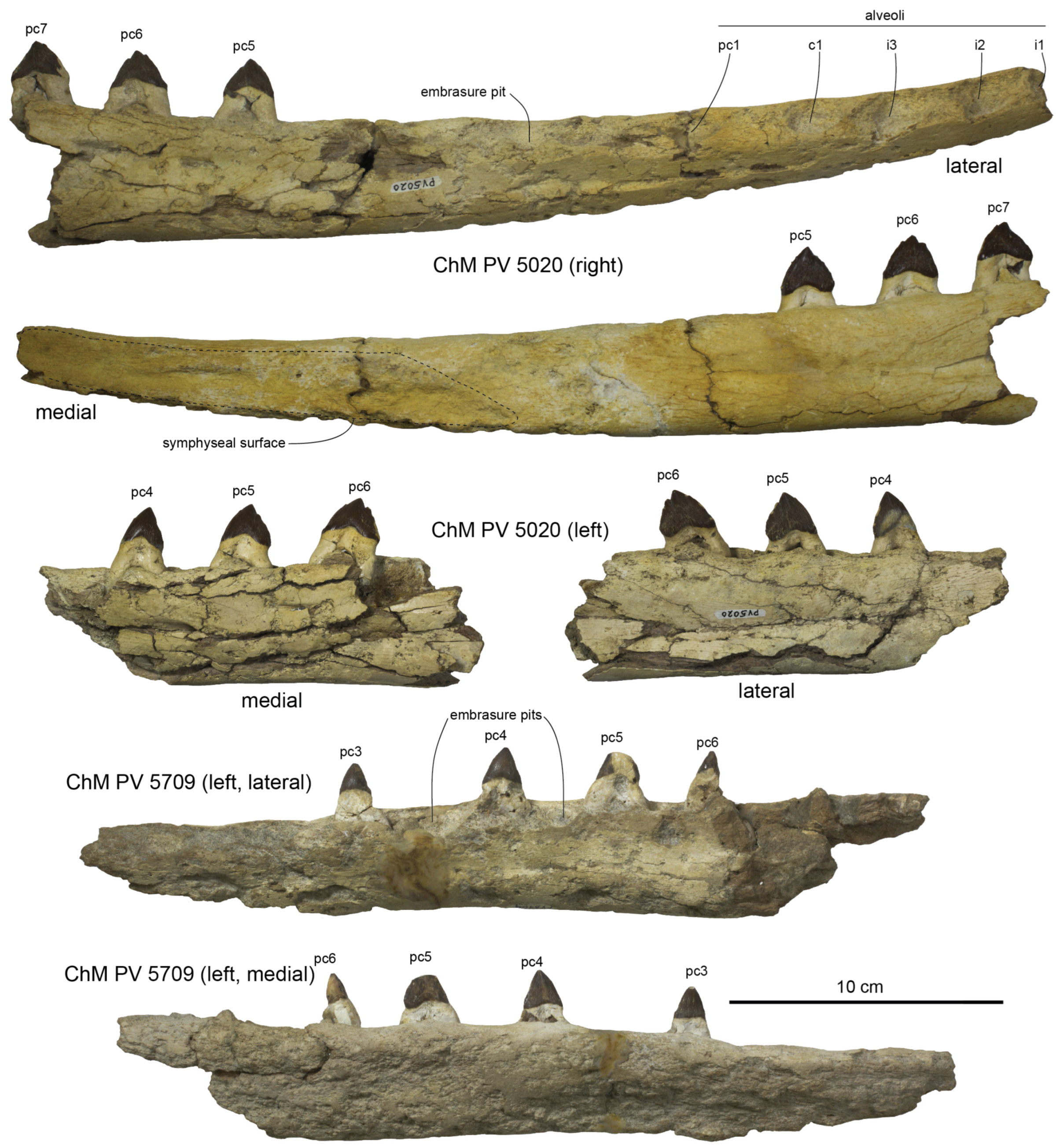 Diversity 15 01154 g057