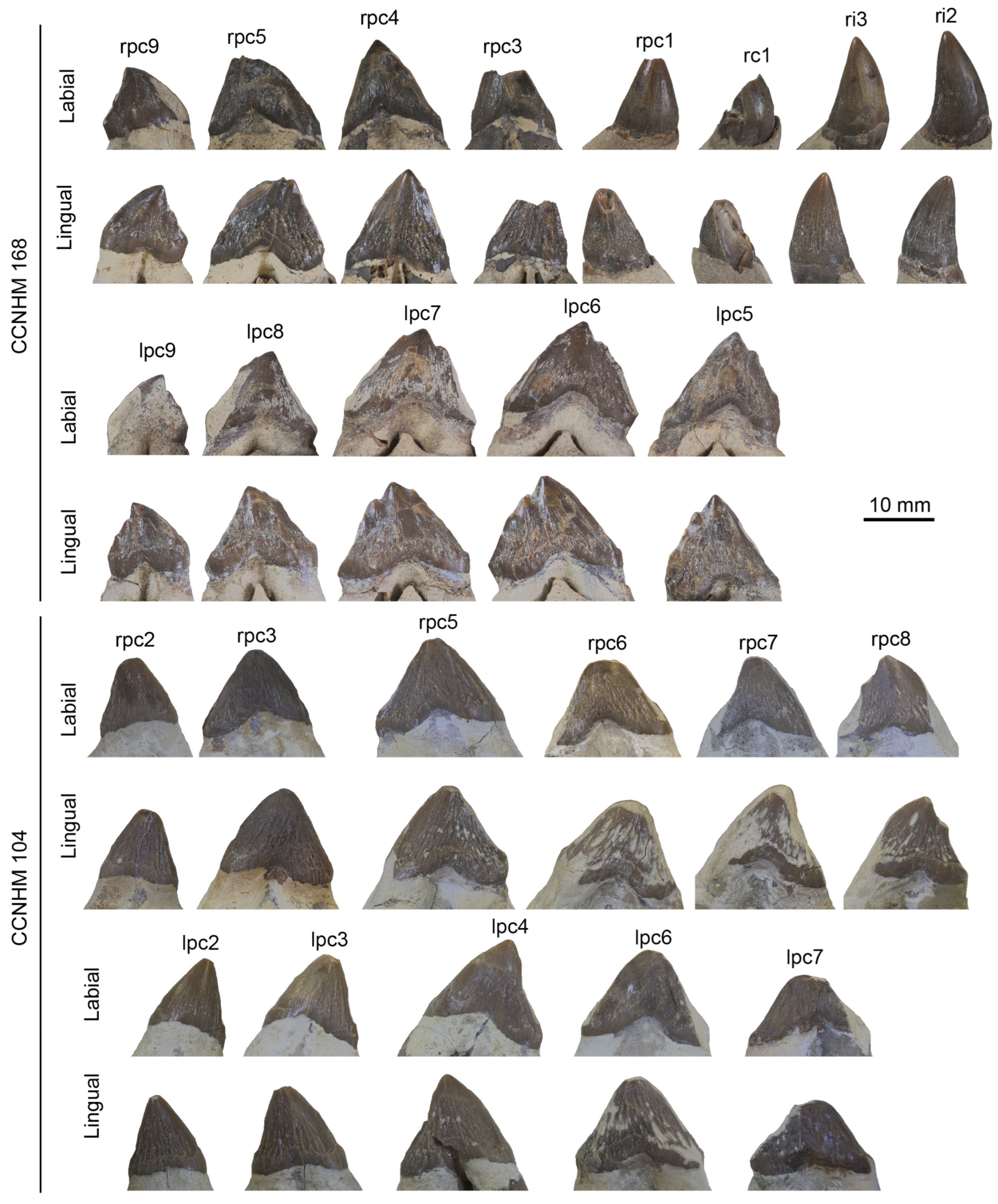 Diversity 15 01154 g060