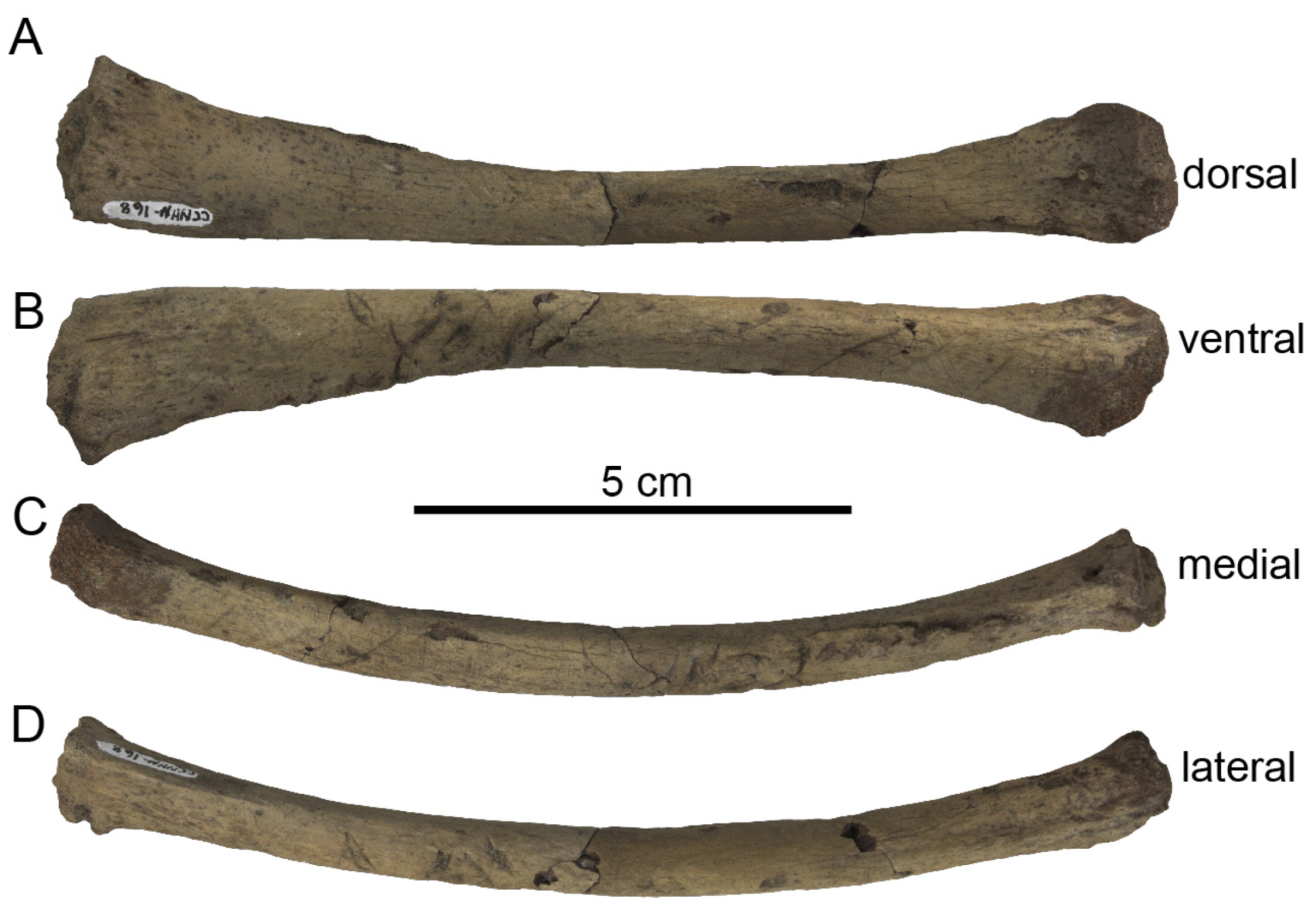 Diversity 15 01154 g061