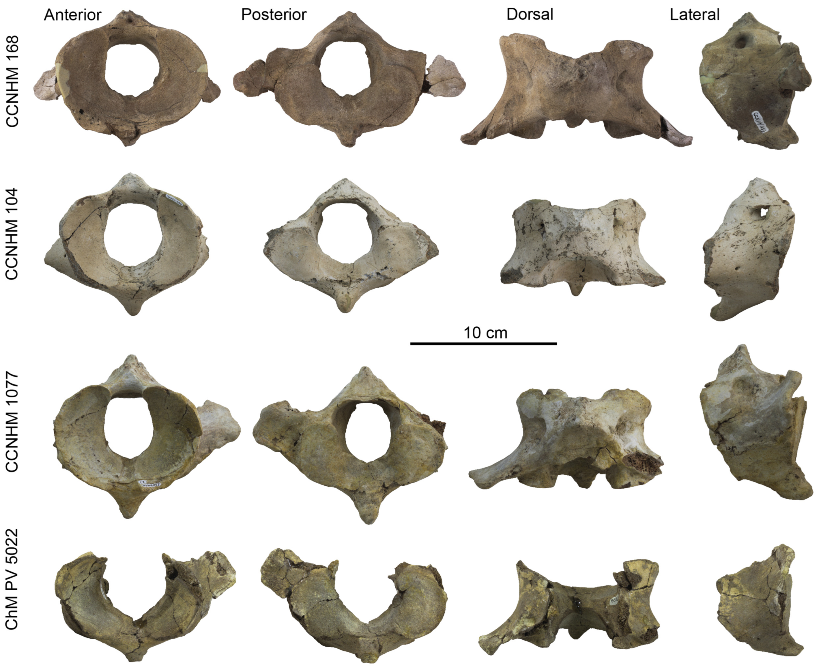 Diversity 15 01154 g062