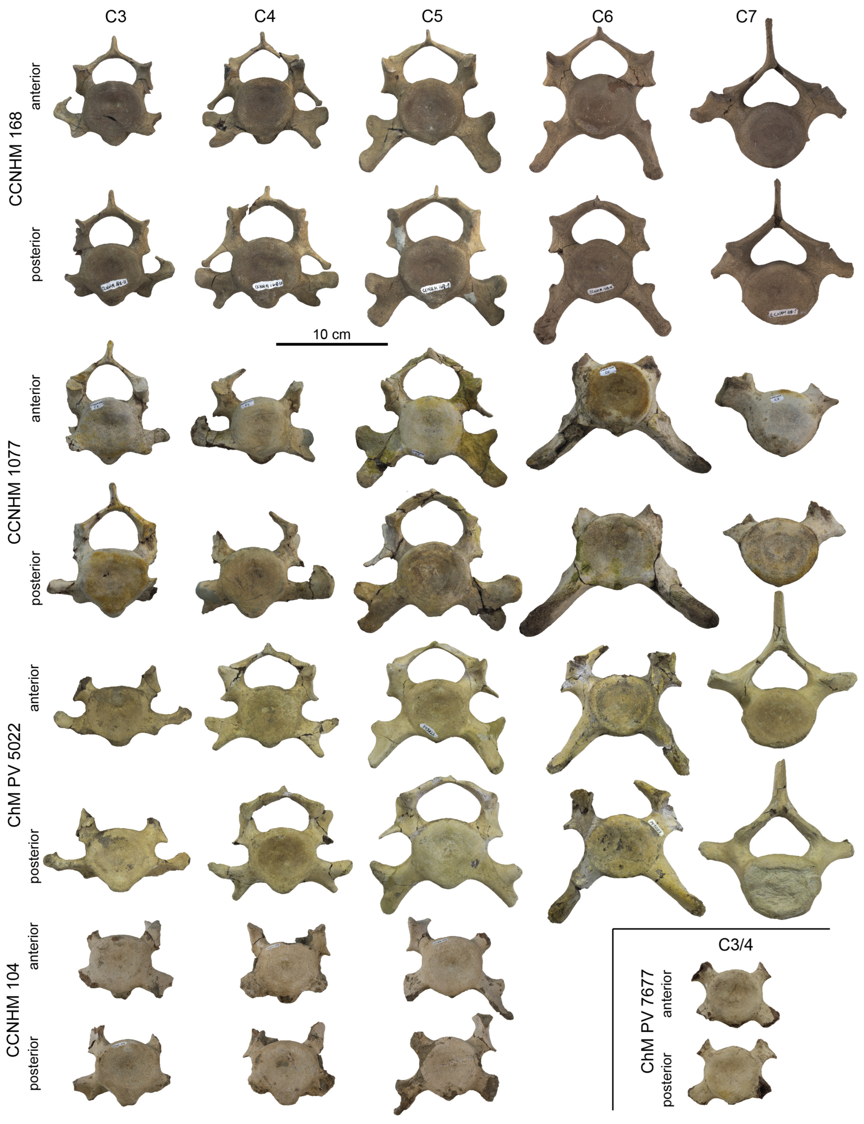 Diversity 15 01154 g064