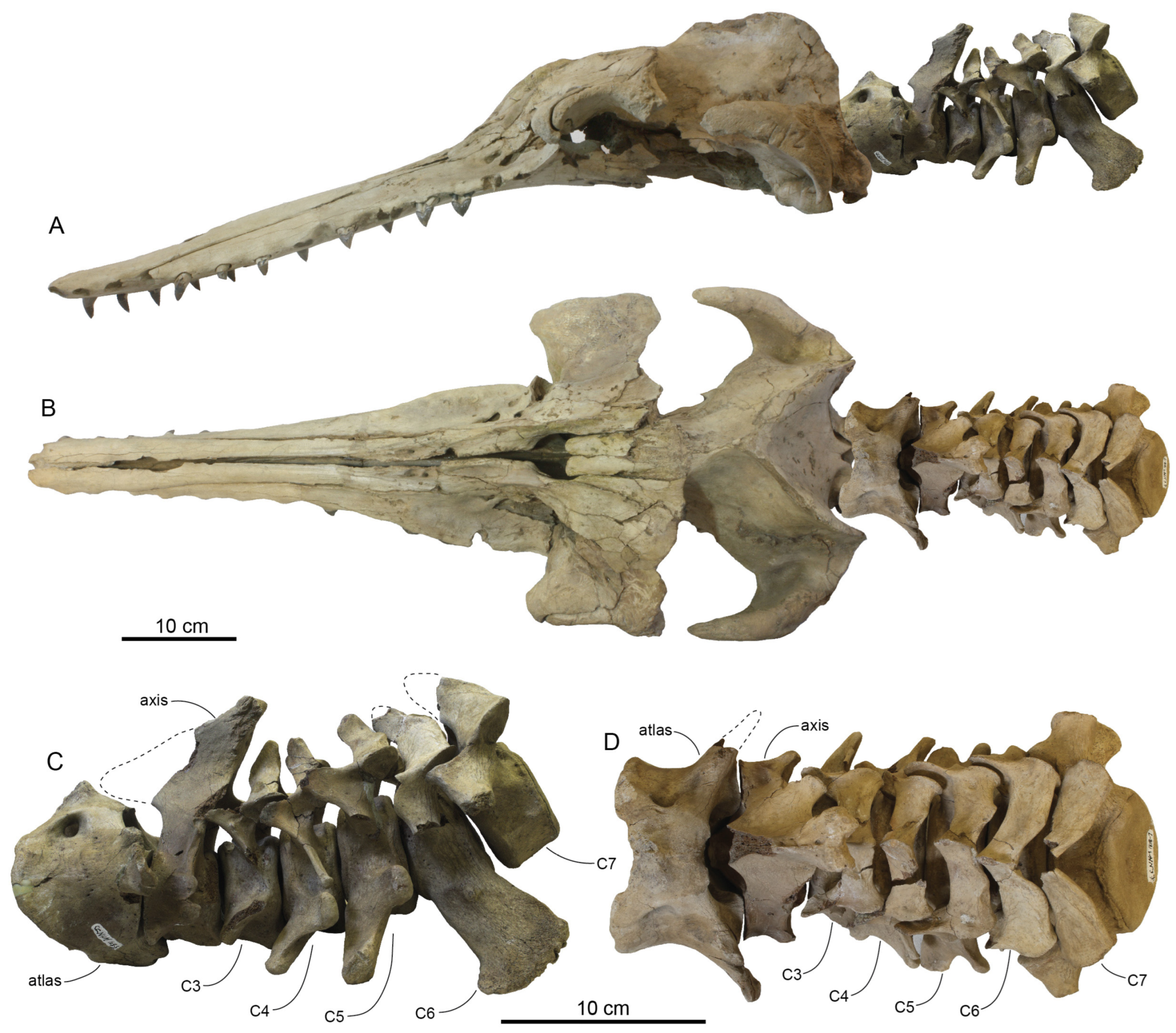 Diversity 15 01154 g065