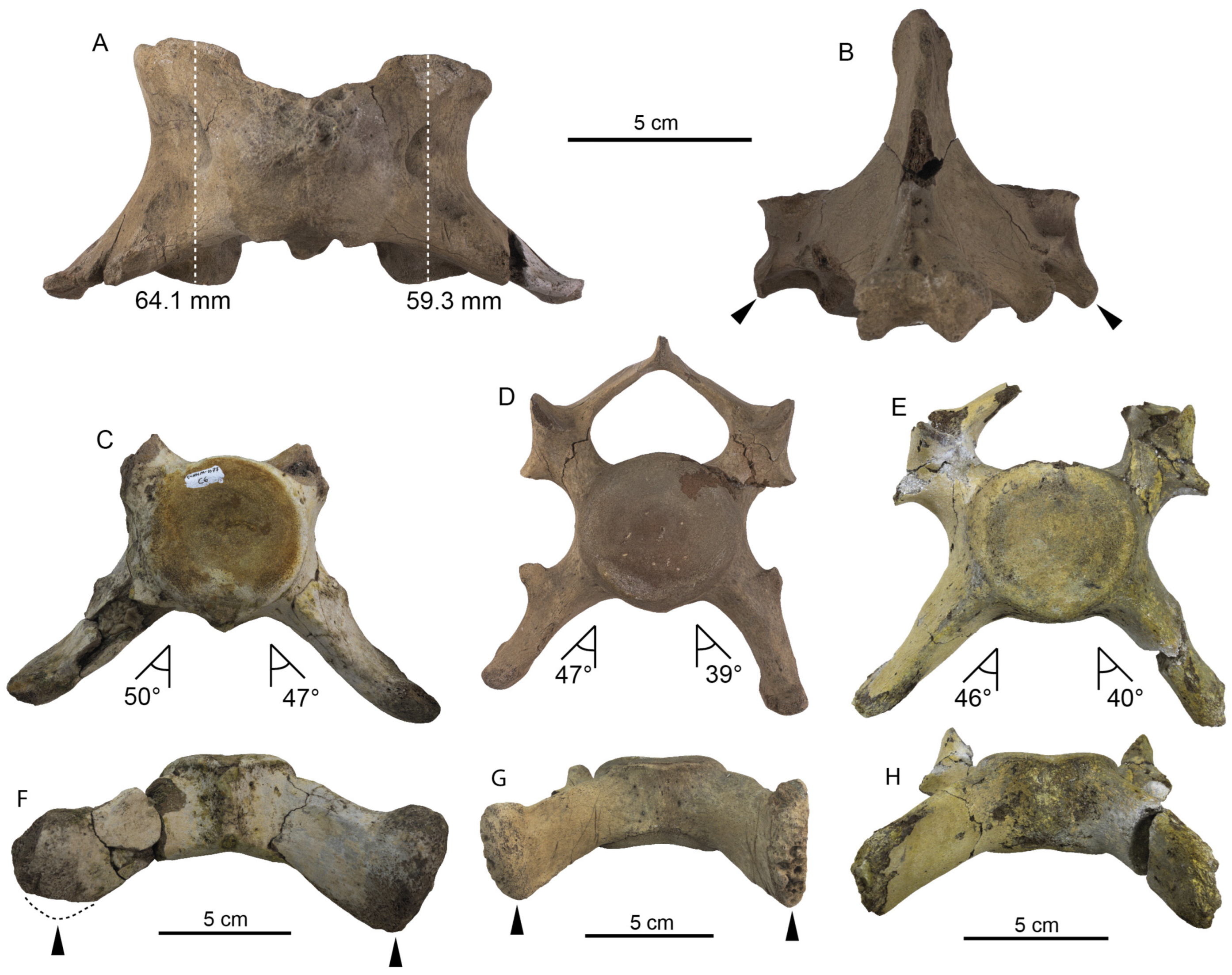 Diversity 15 01154 g066