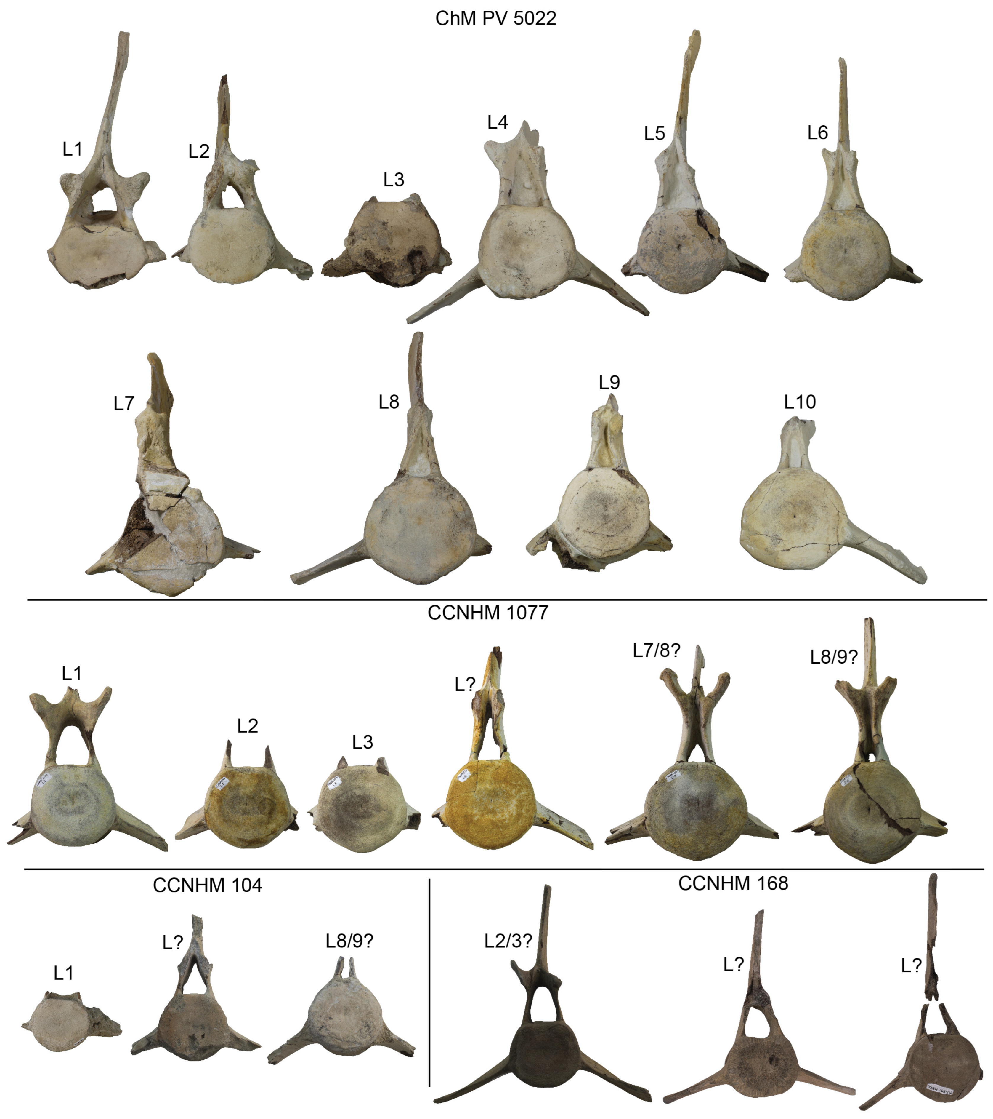 Diversity 15 01154 g068