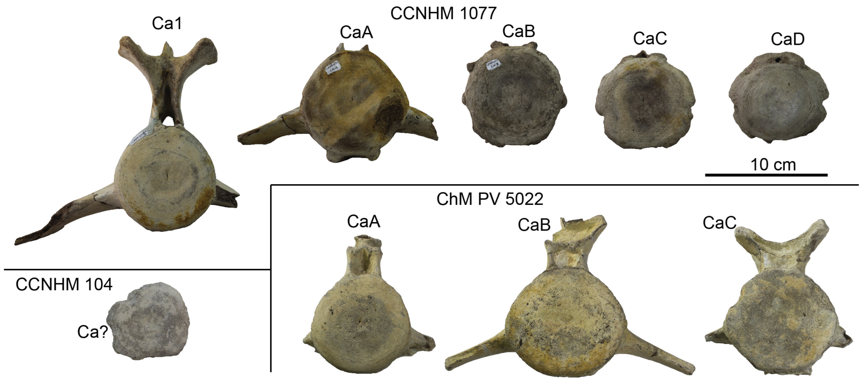Diversity 15 01154 g069