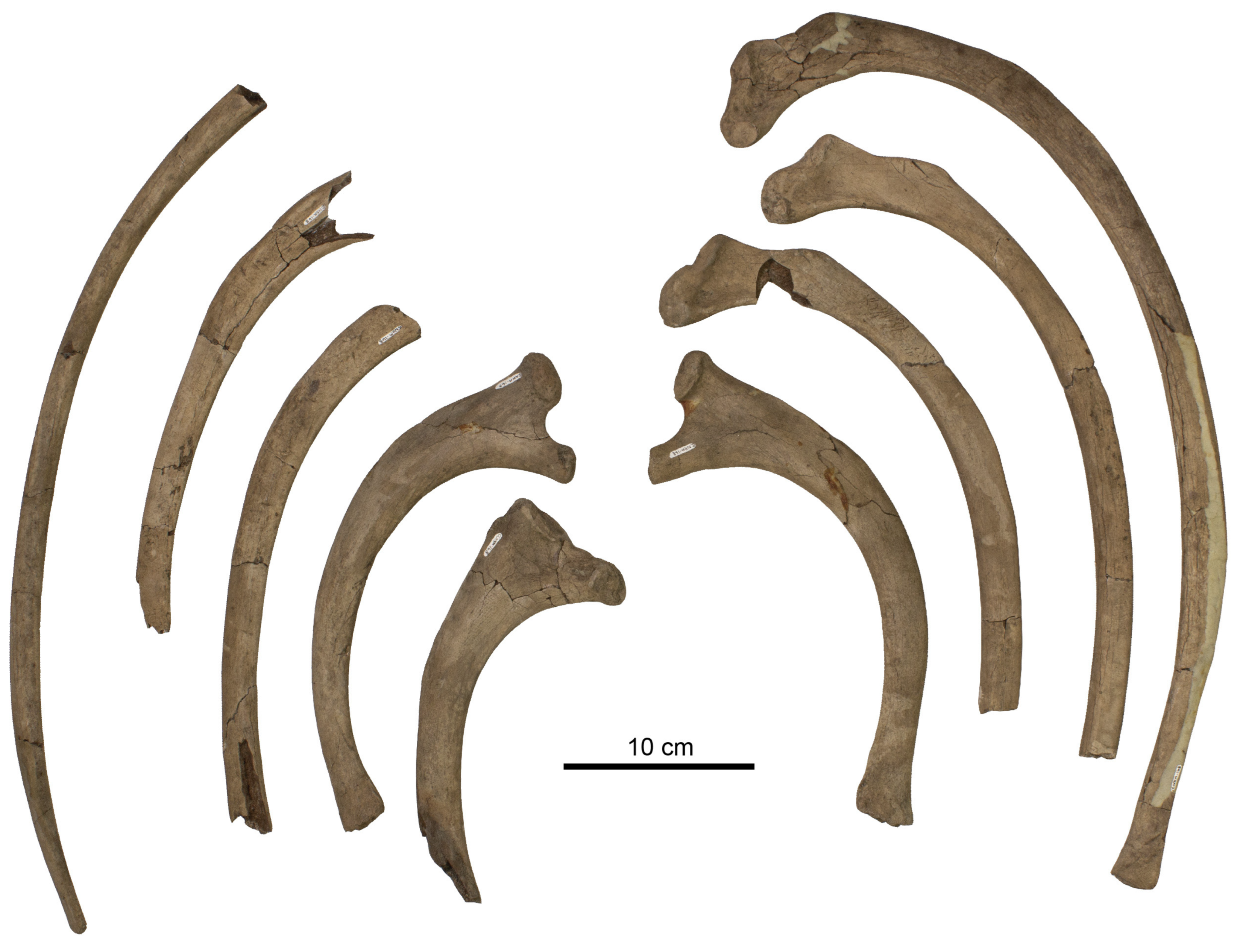 Diversity 15 01154 g070