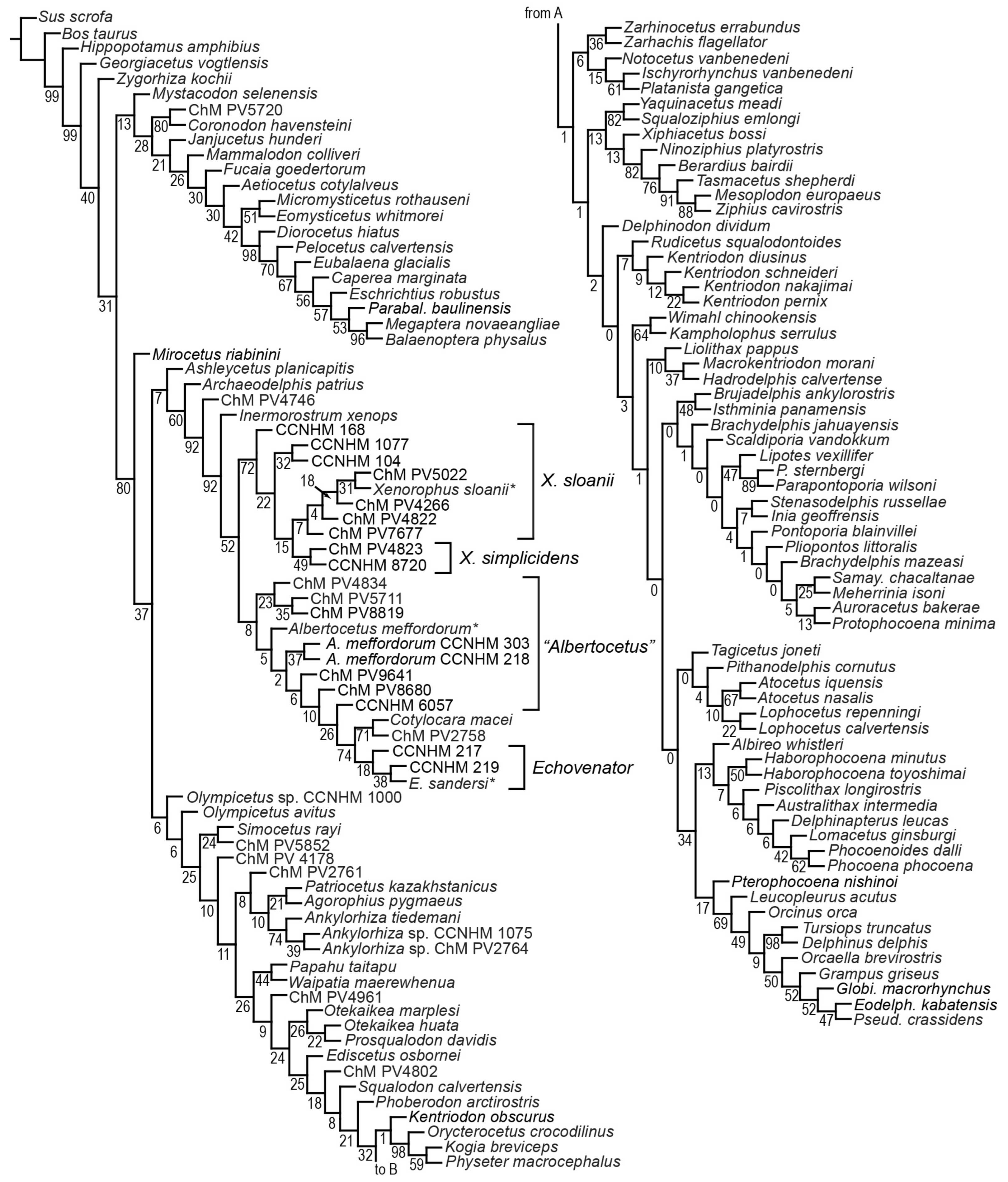 Diversity 15 01154 g071
