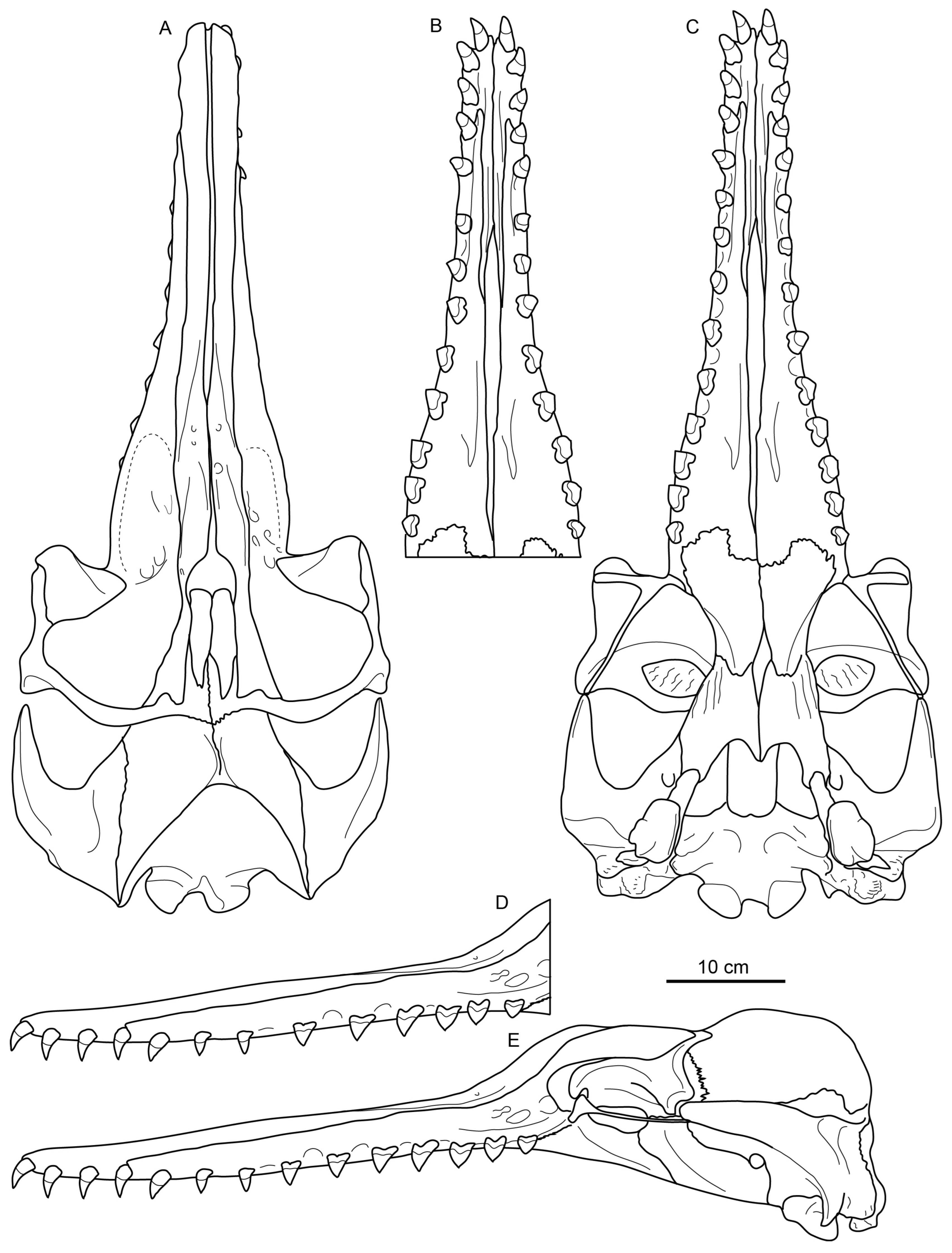 Diversity 15 01154 g073