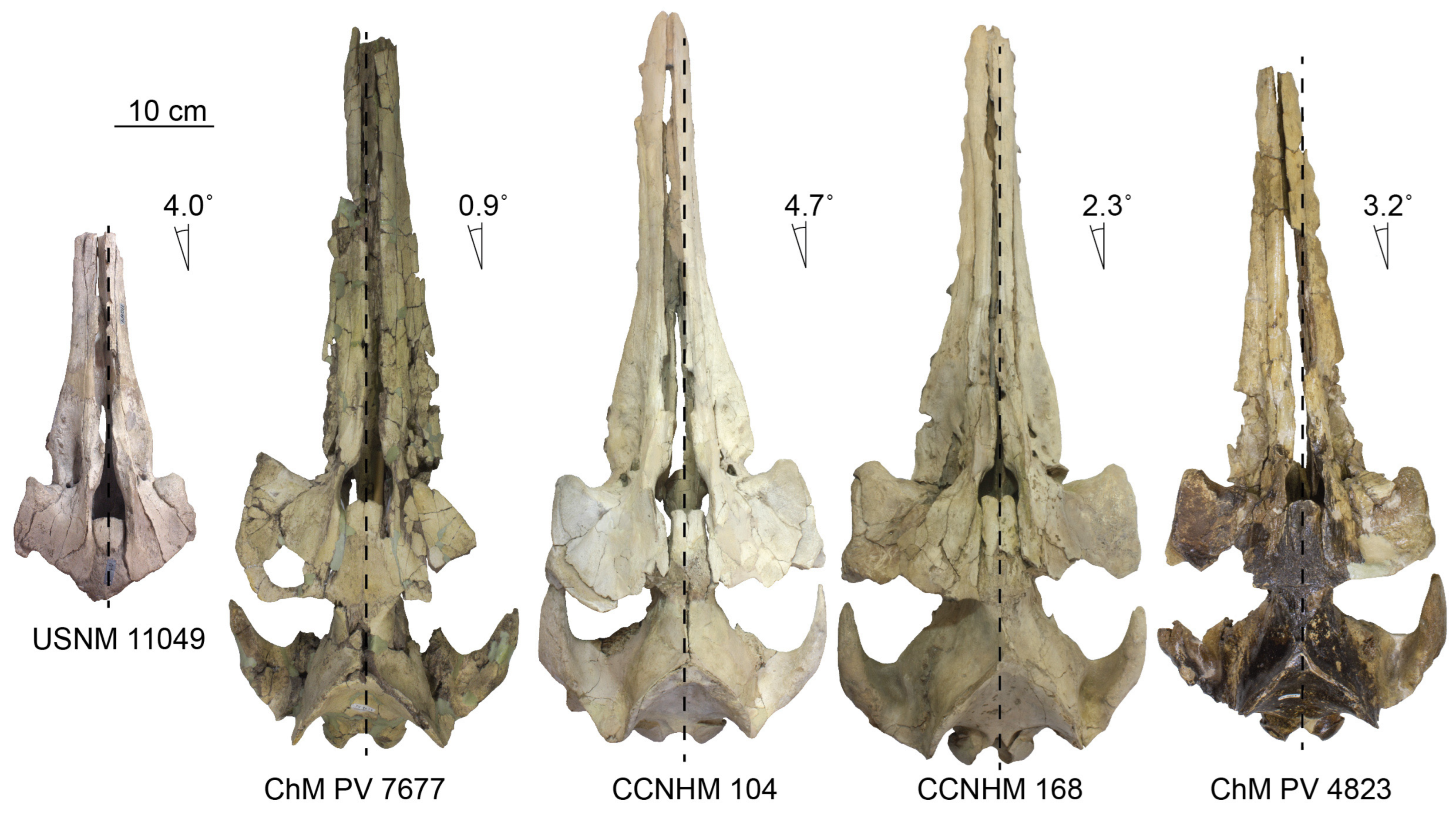 Diversity 15 01154 g075