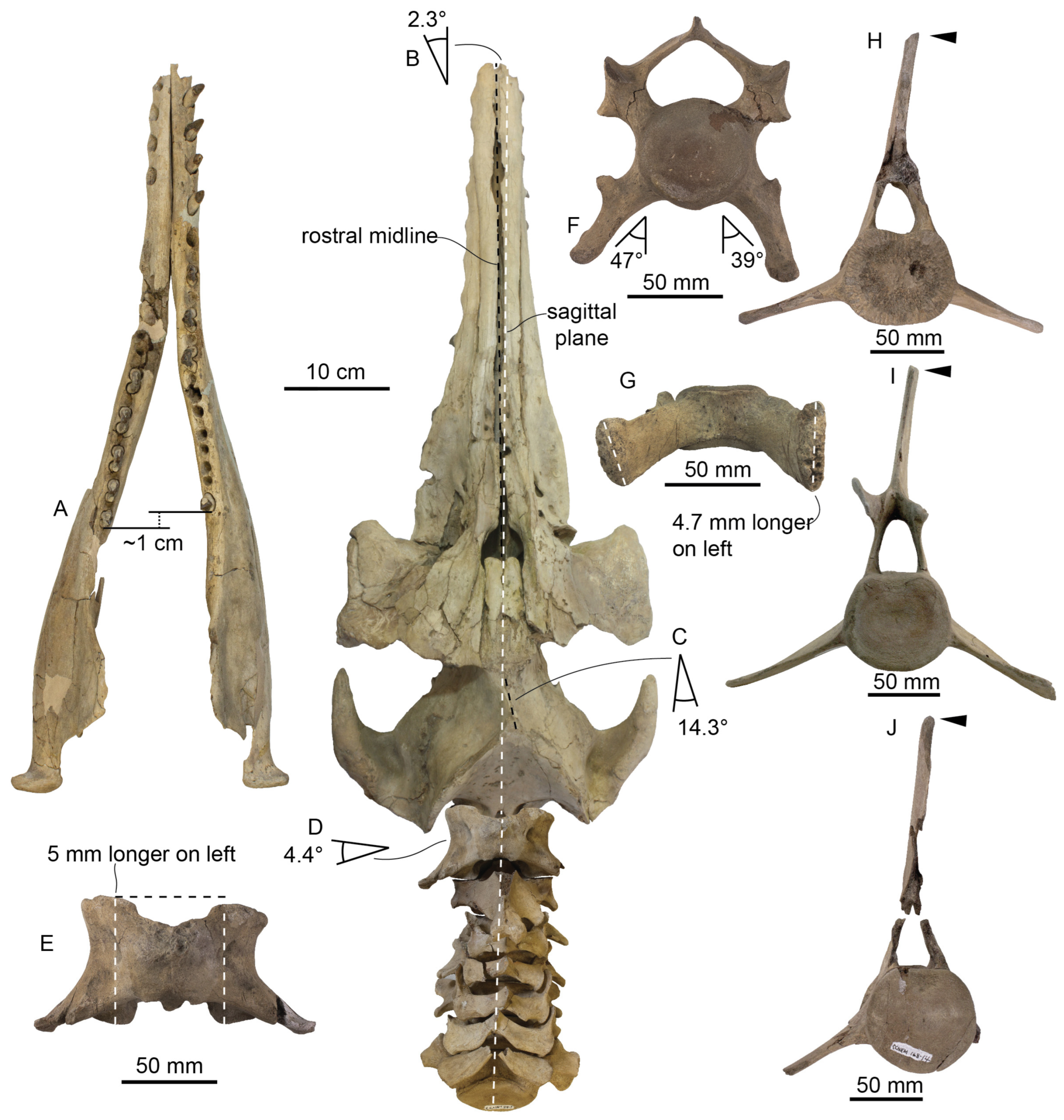 Diversity 15 01154 g076
