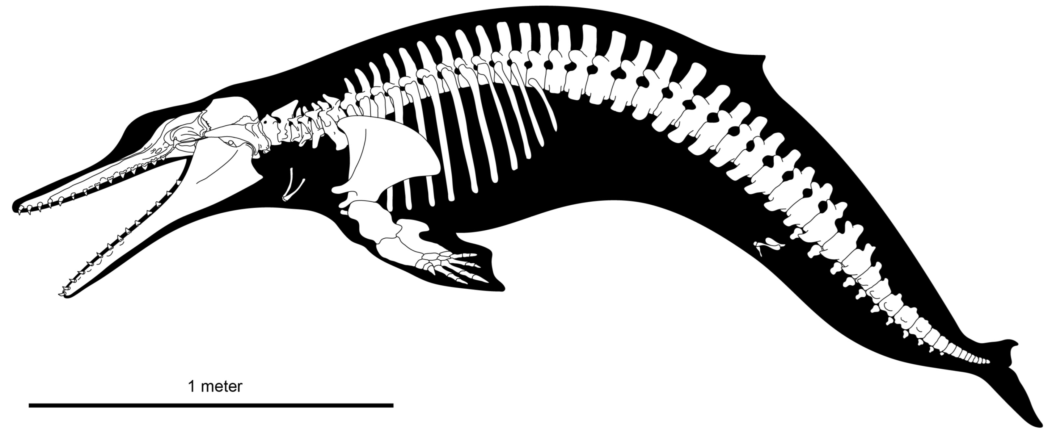 Diversity 15 01154 g077