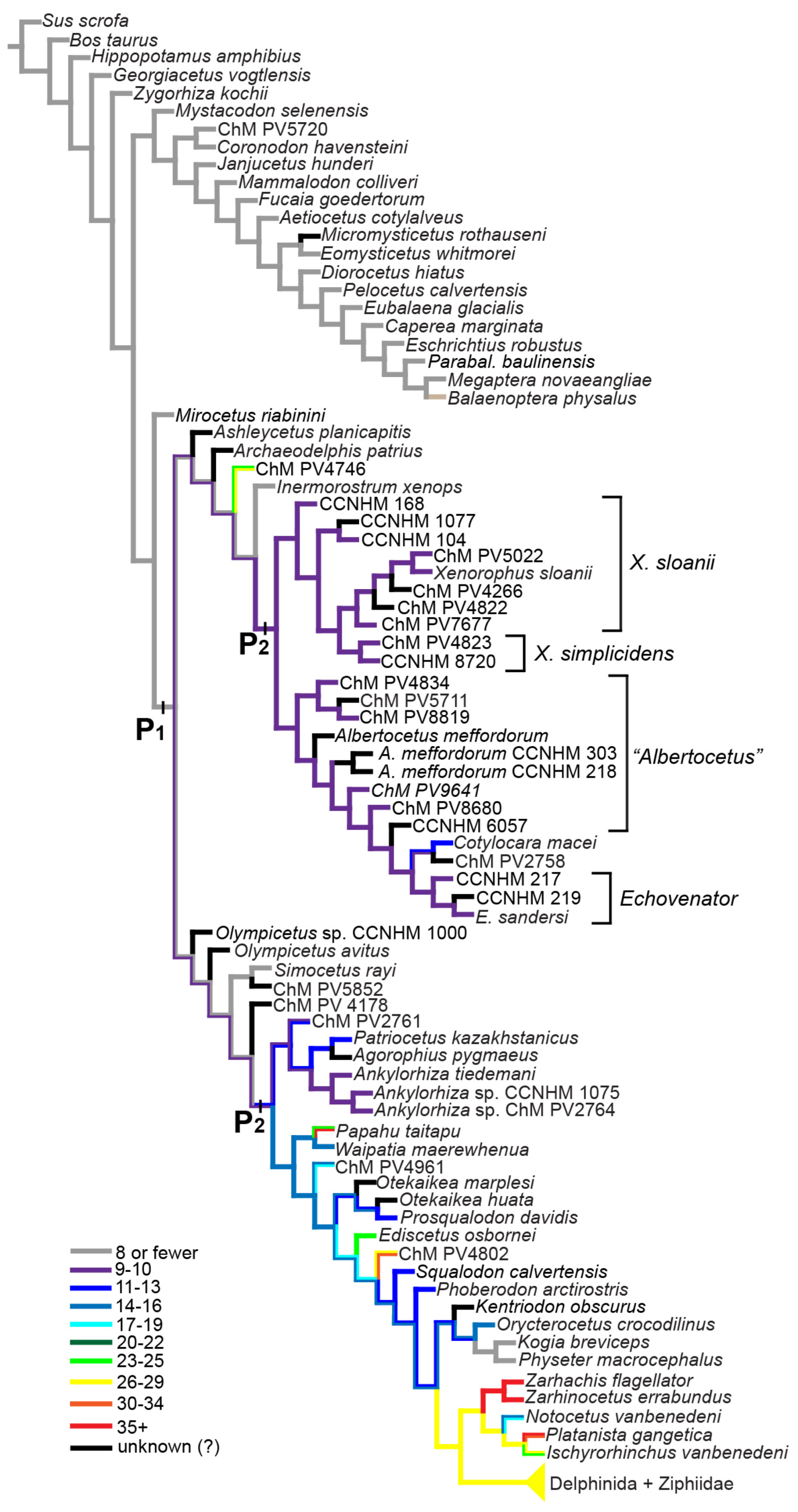 Diversity 15 01154 g084