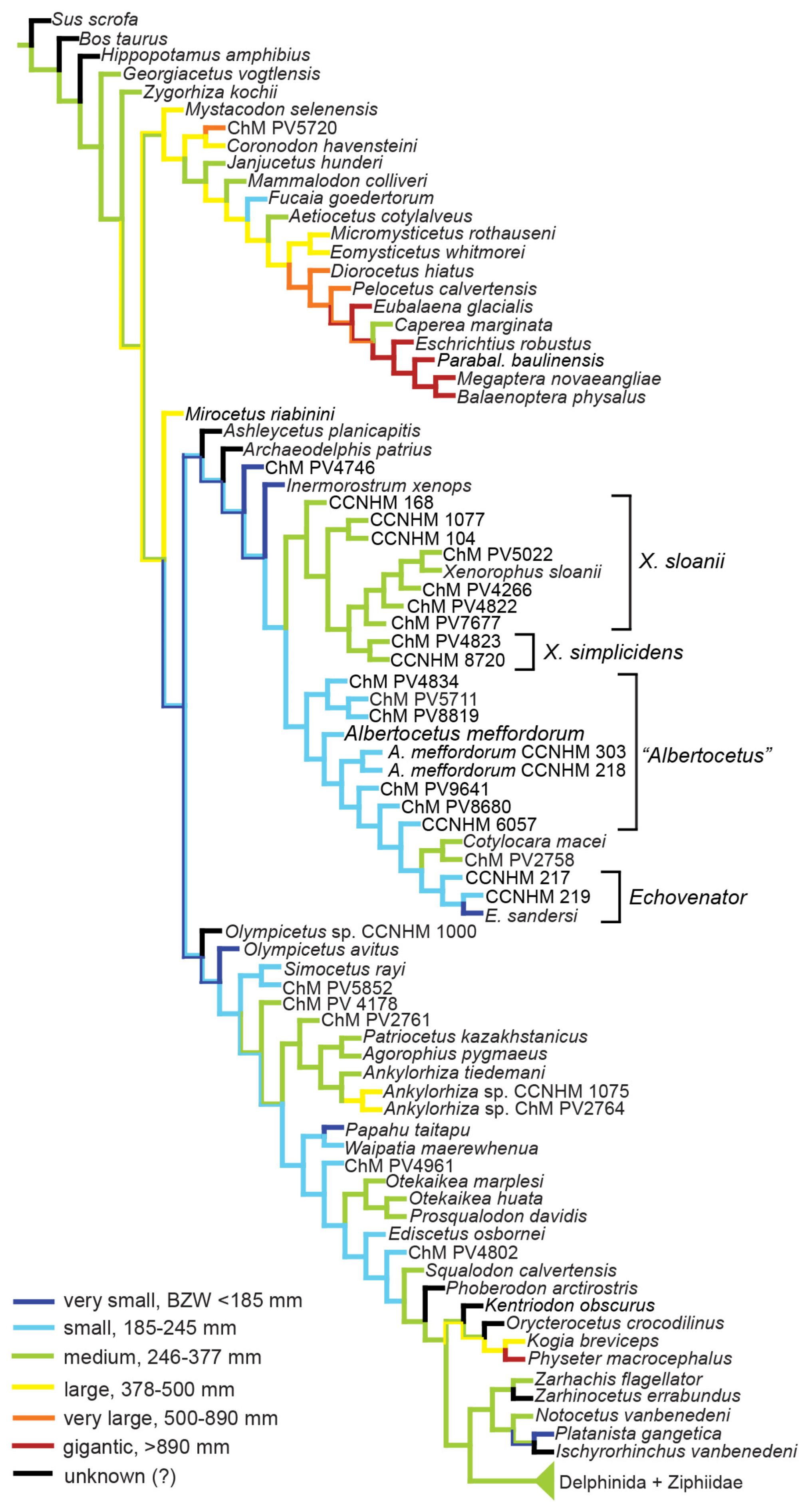 Diversity 15 01154 g088