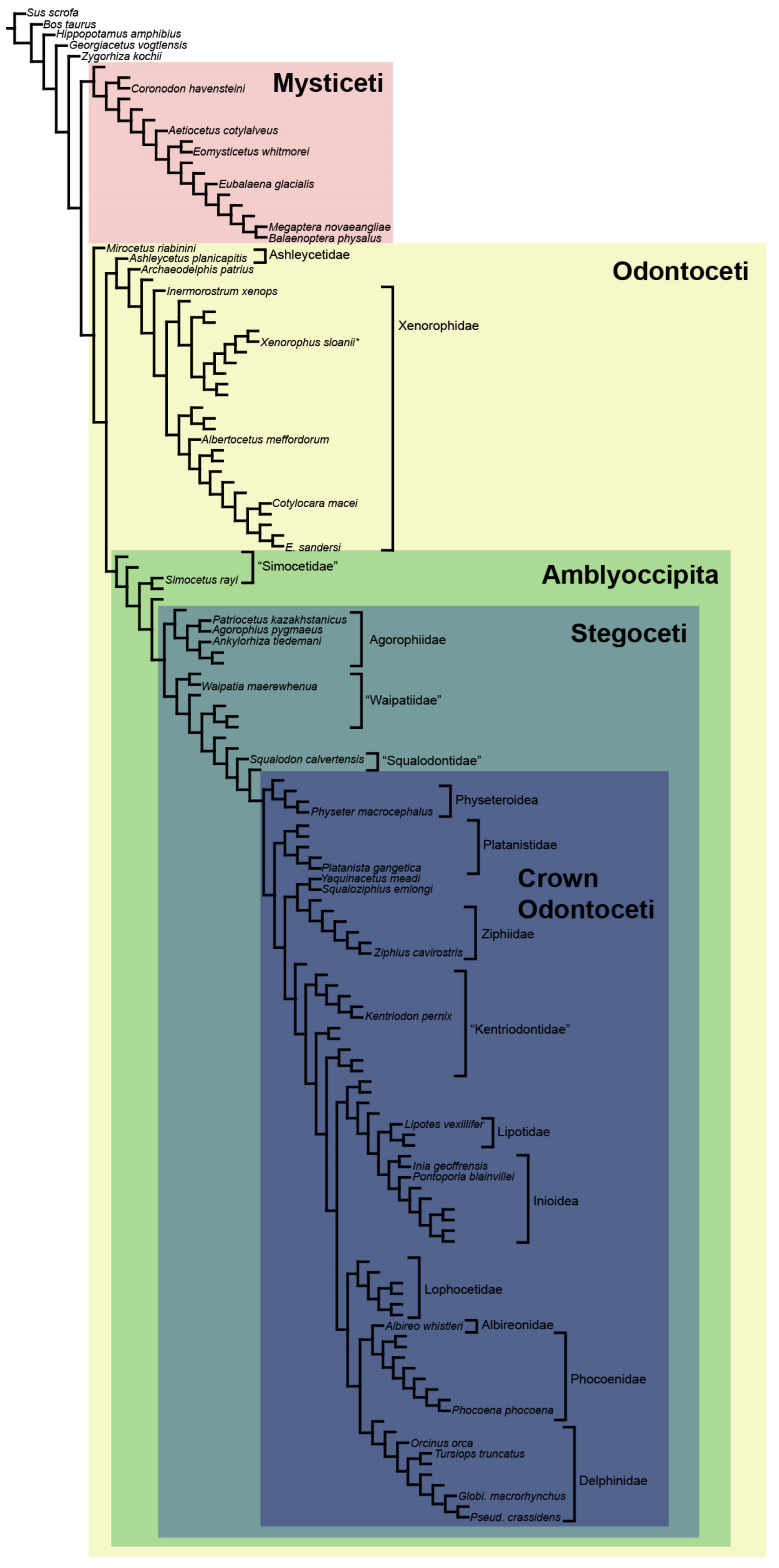 Diversity 15 01154 g089