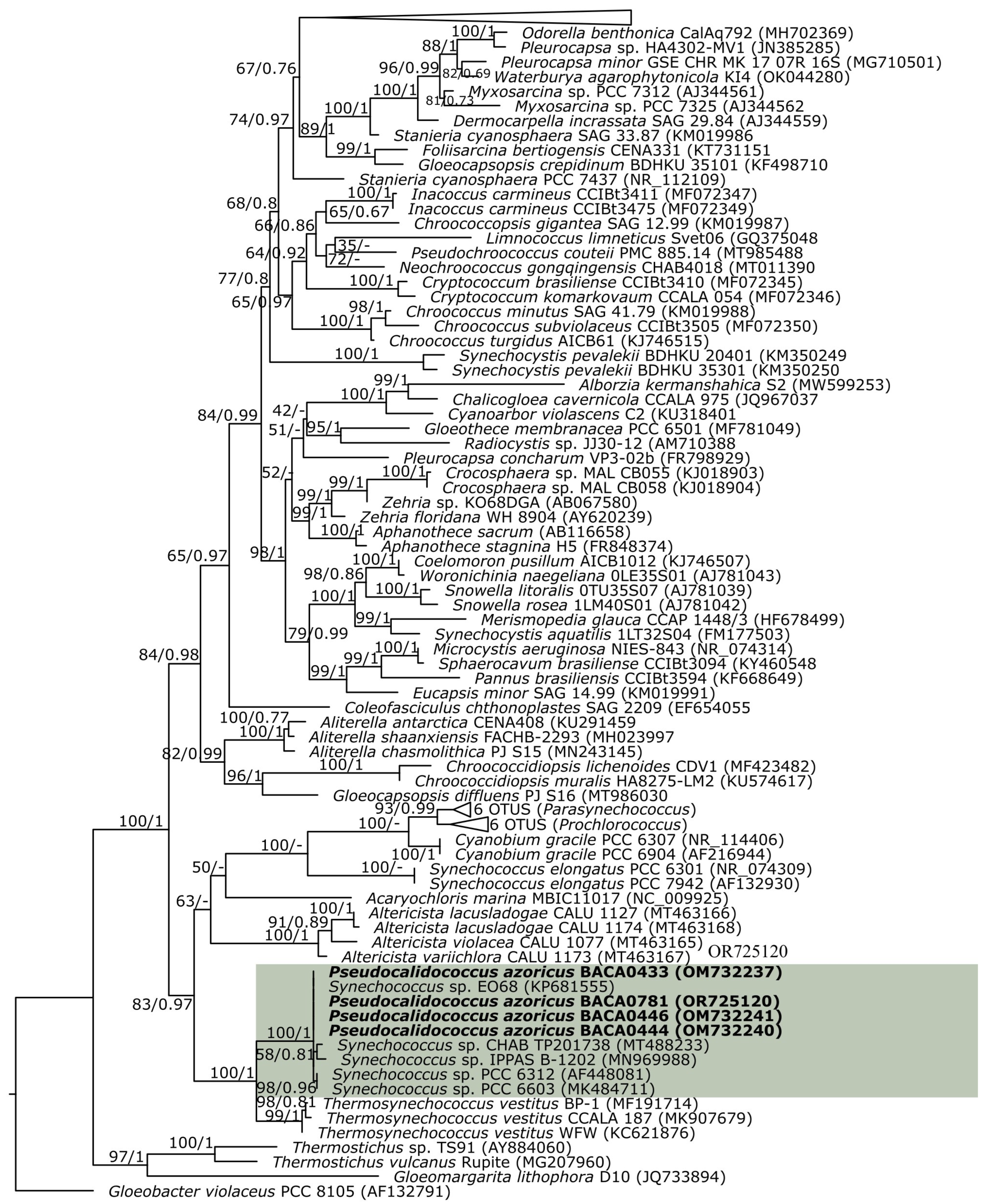 Diversity 15 01157 g002