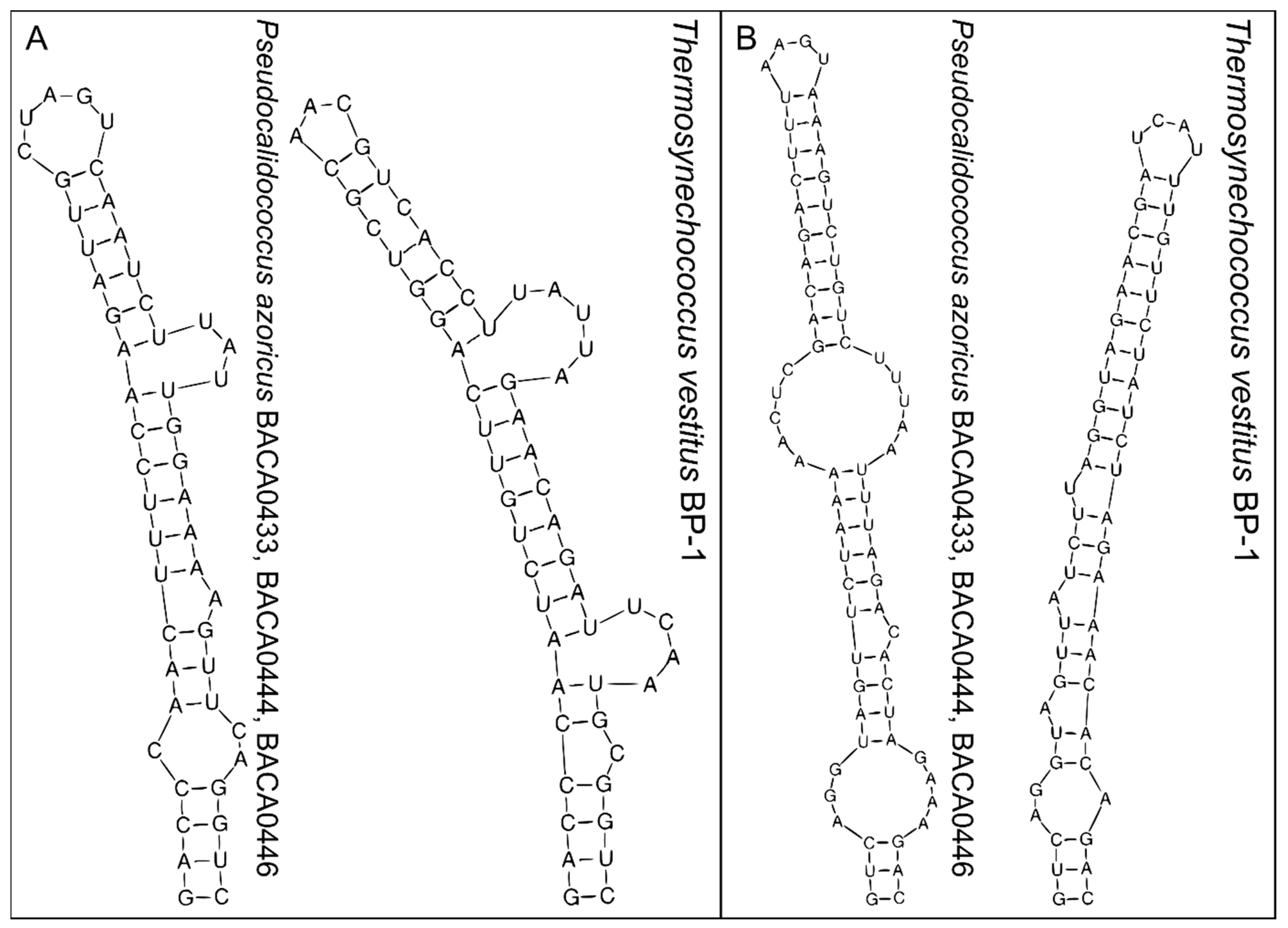 Diversity 15 01157 g003