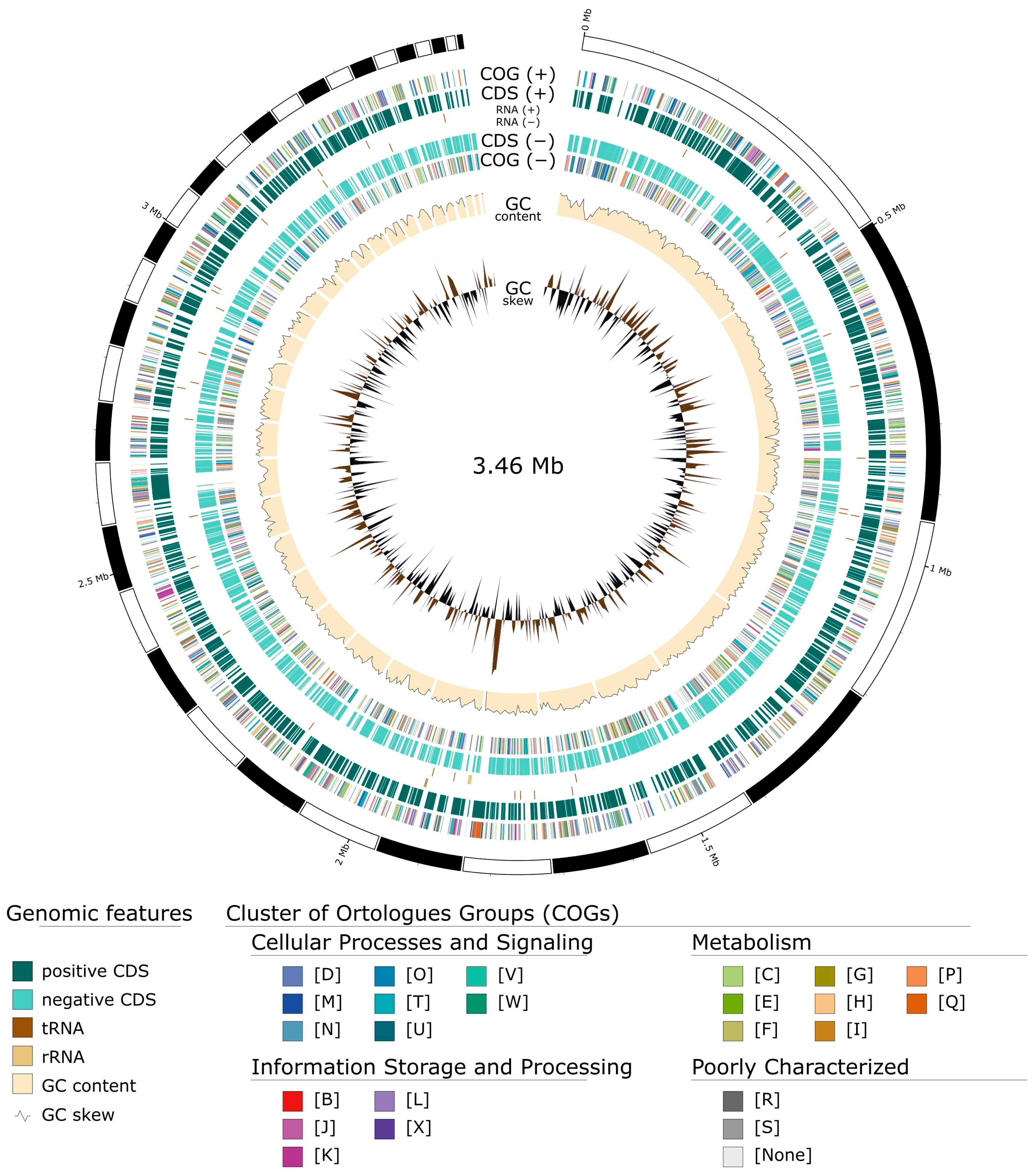 Diversity 15 01157 g004