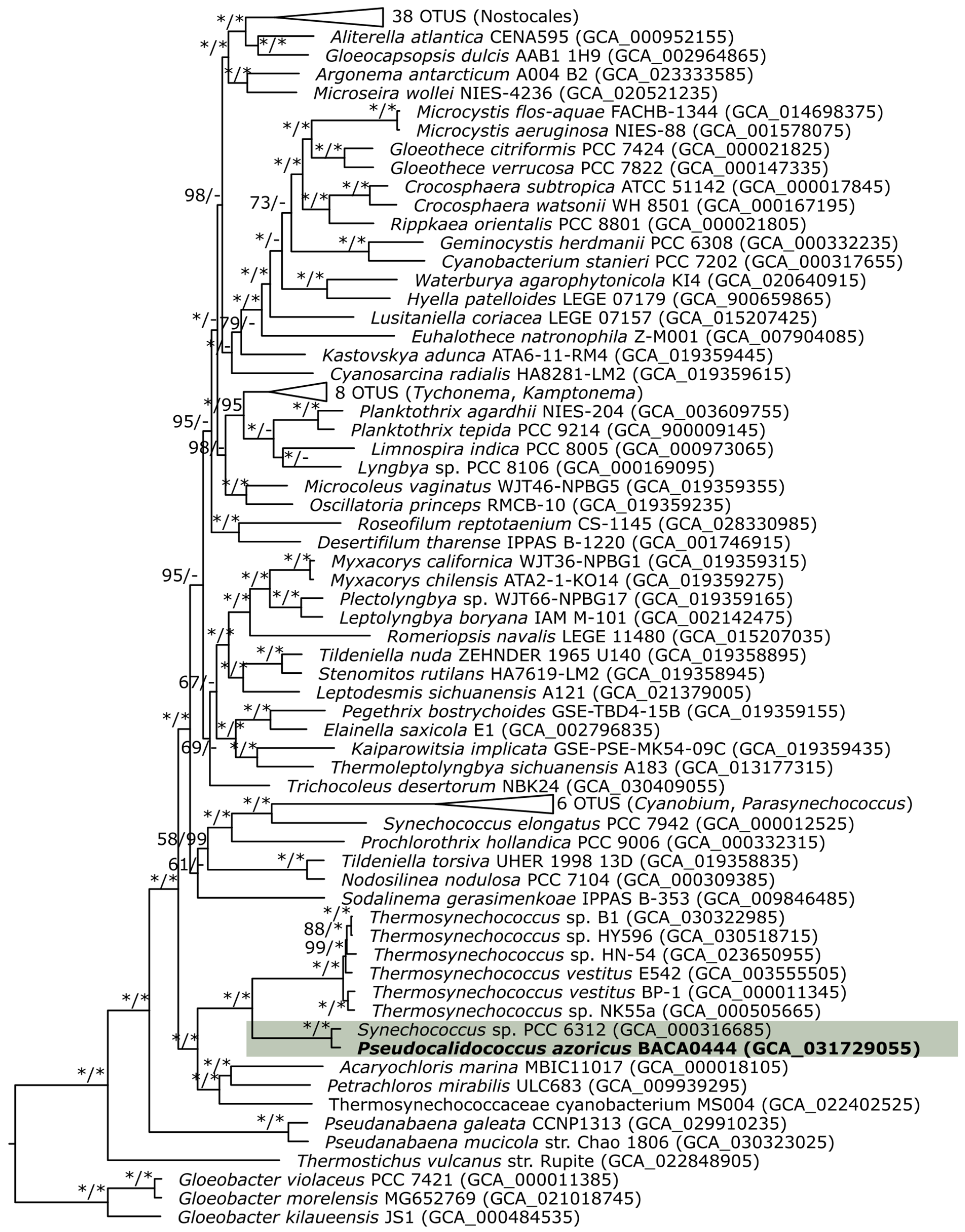 Diversity 15 01157 g005