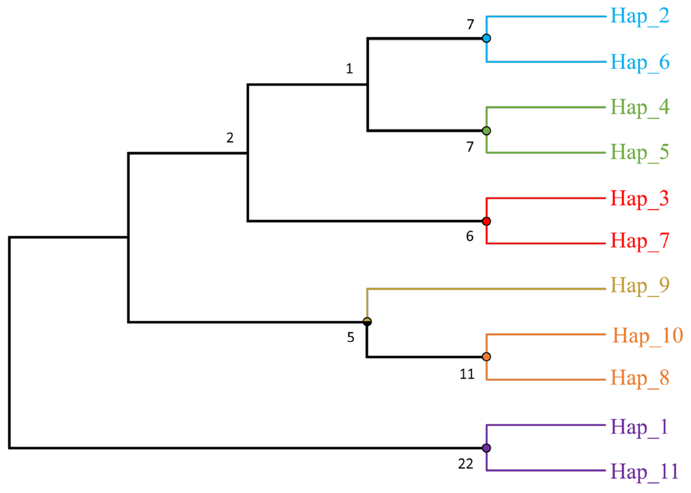 Diversity 15 01161 g003