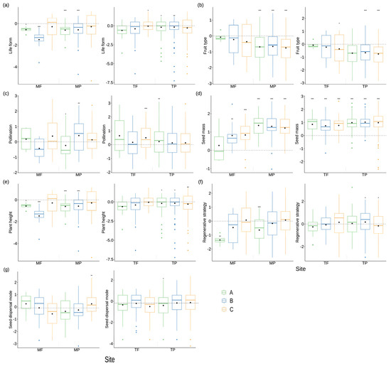 Diversity | Free Full-Text | Divergence of Seed Mass in Riparian Plant ...