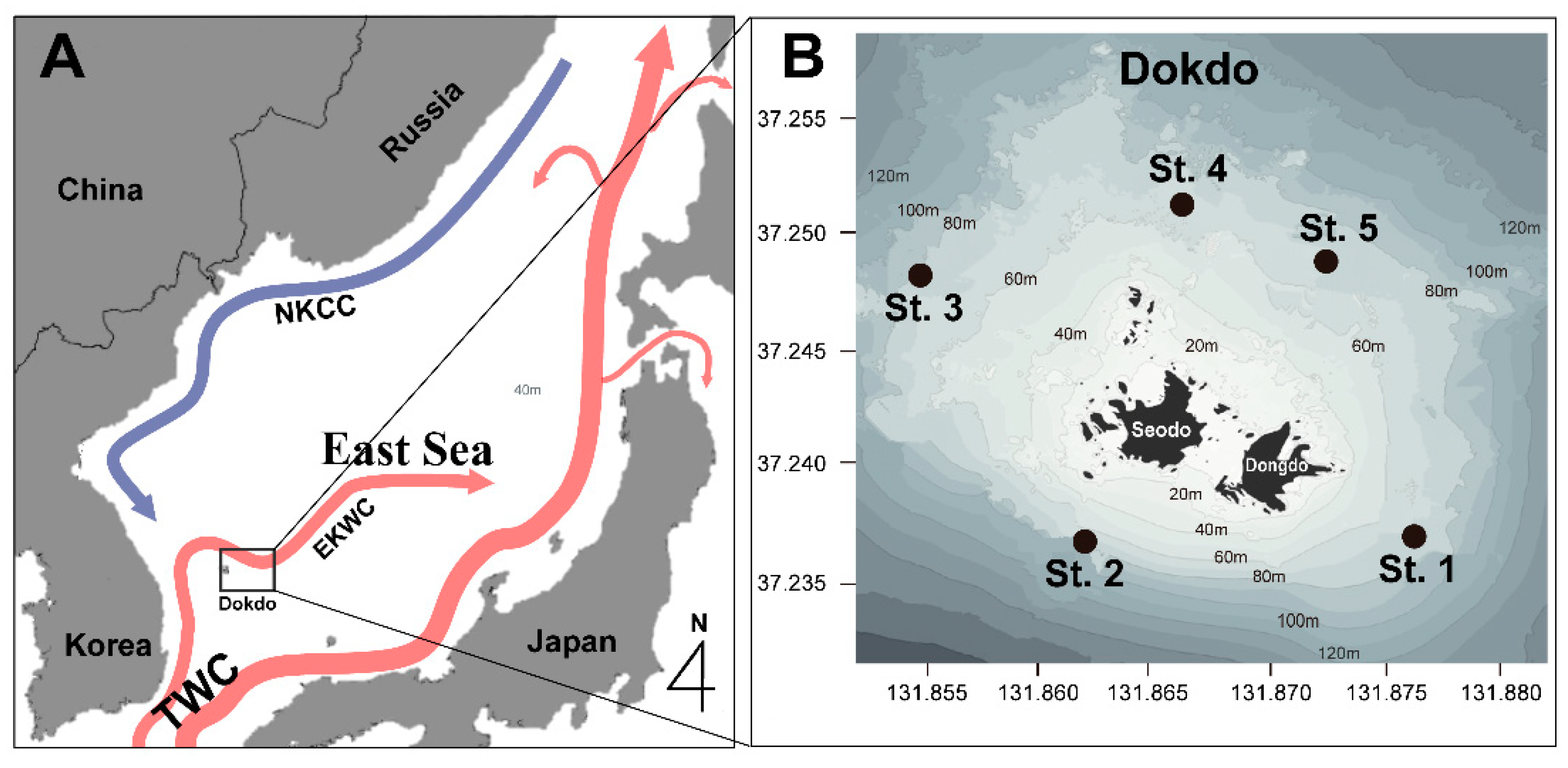 Diversity 15 01166 g001