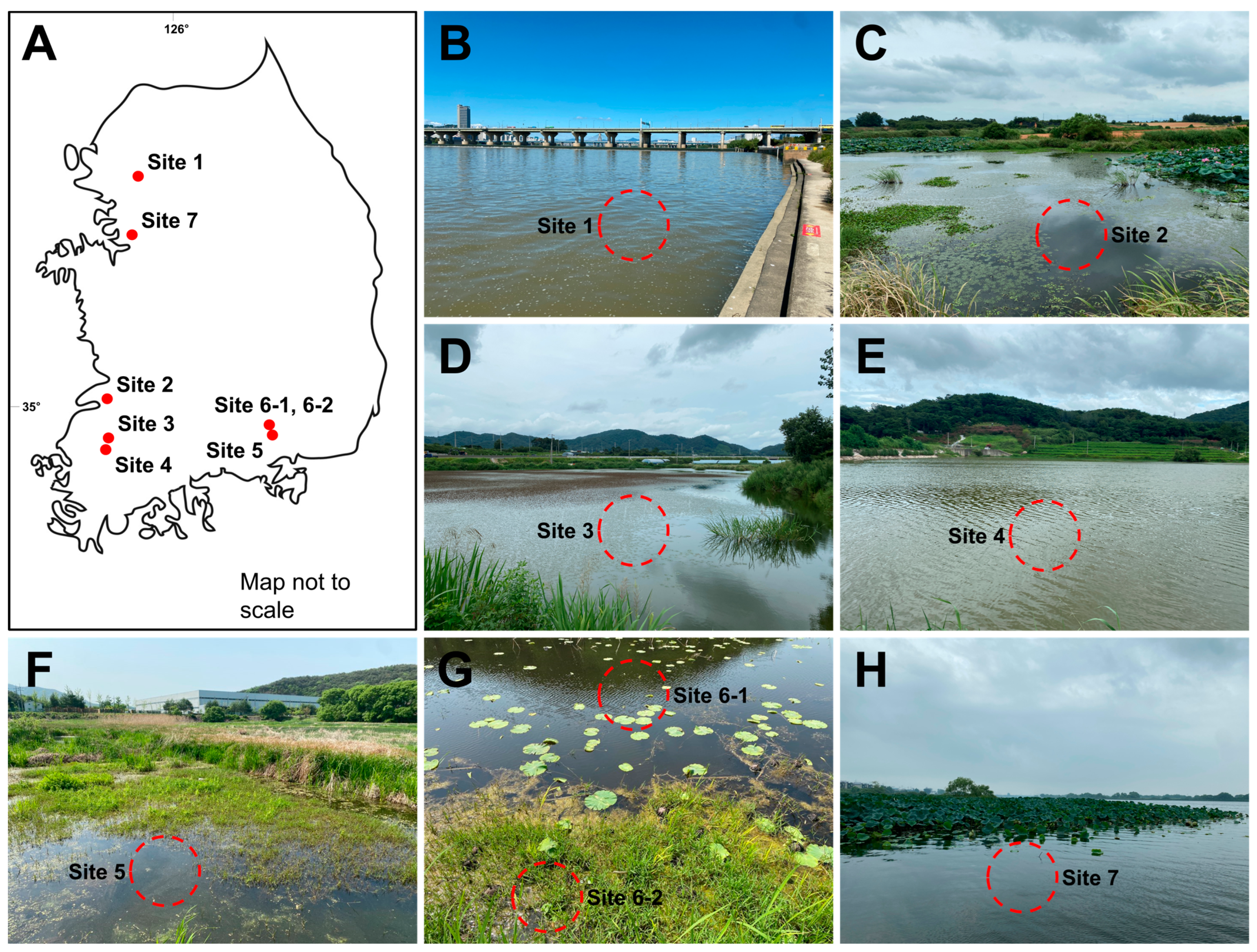 Diversity 15 01174 g001