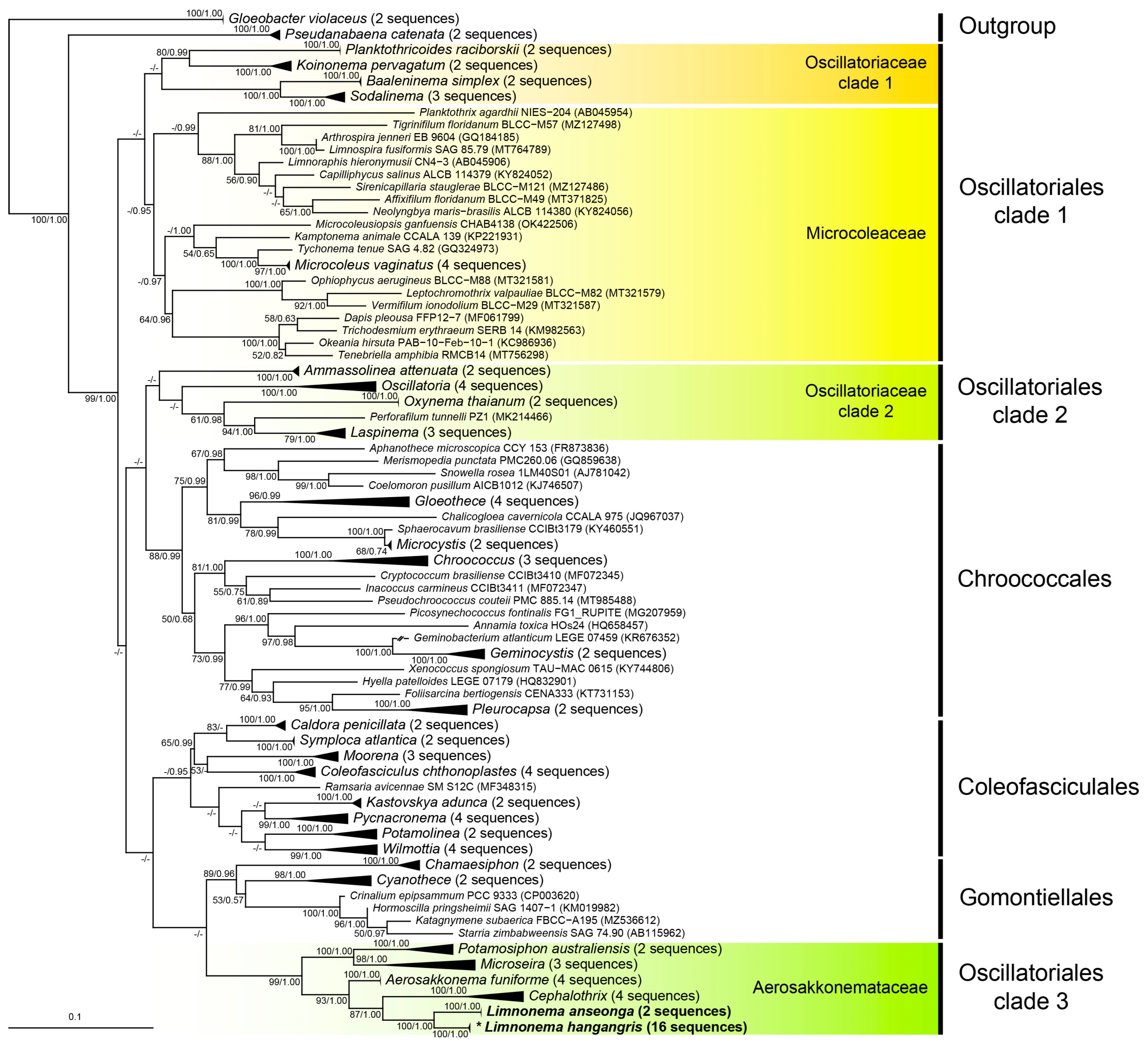 Diversity 15 01174 g007
