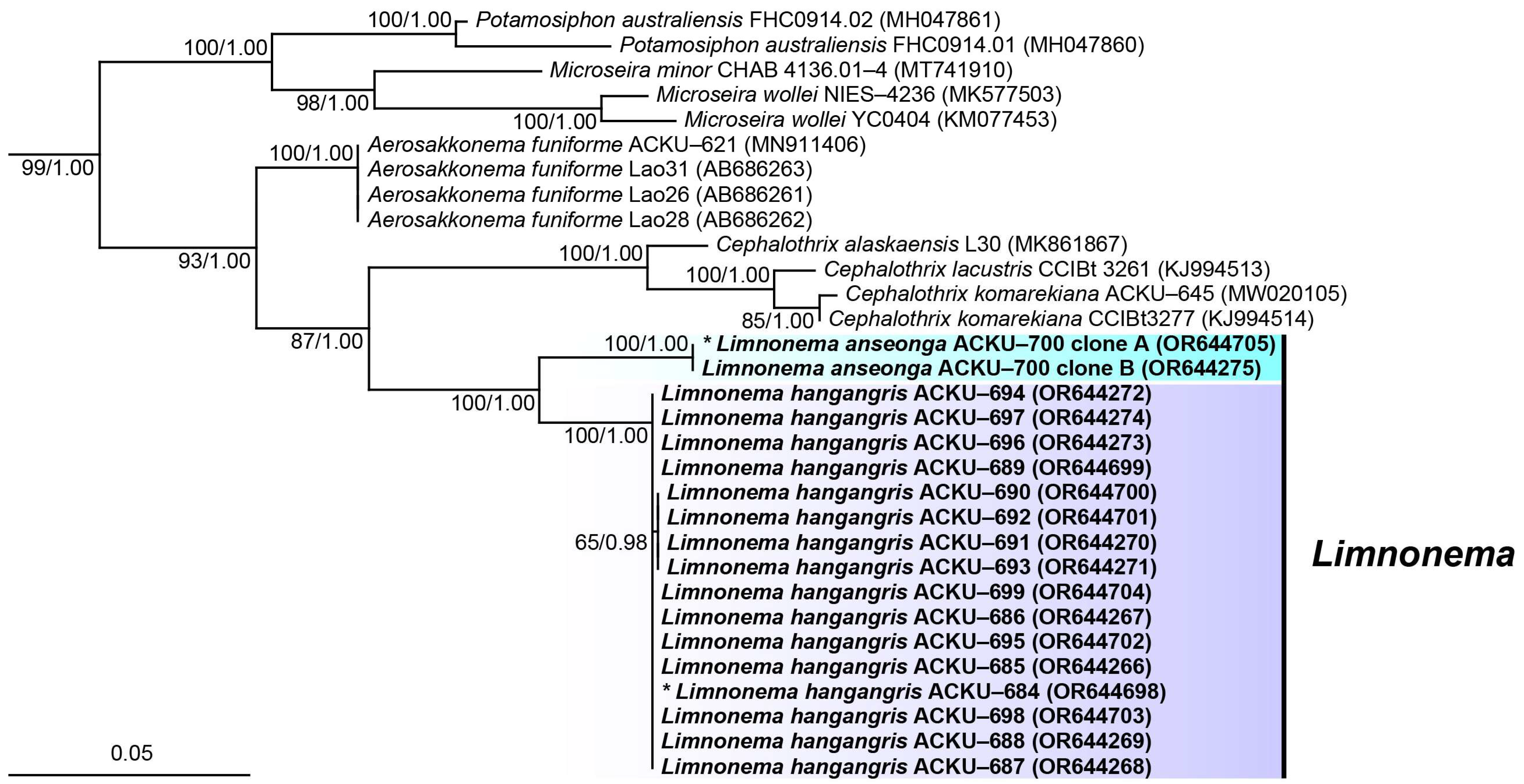 Diversity 15 01174 g008