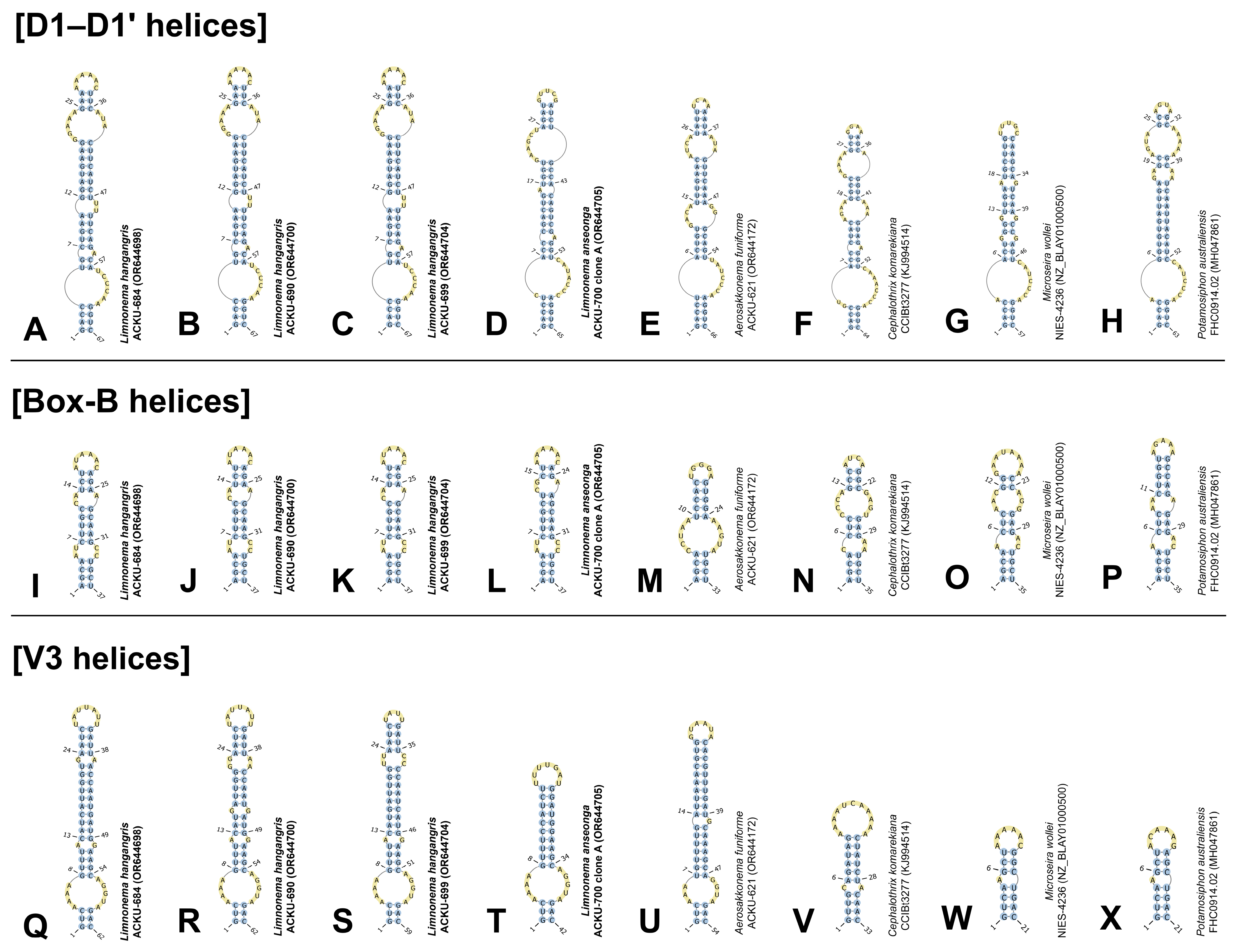 Diversity 15 01174 g009