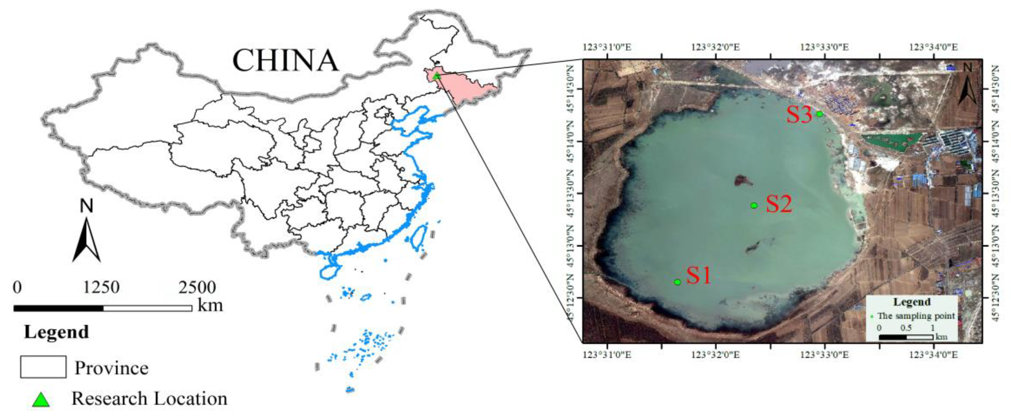 Diversity 15 01175 g001
