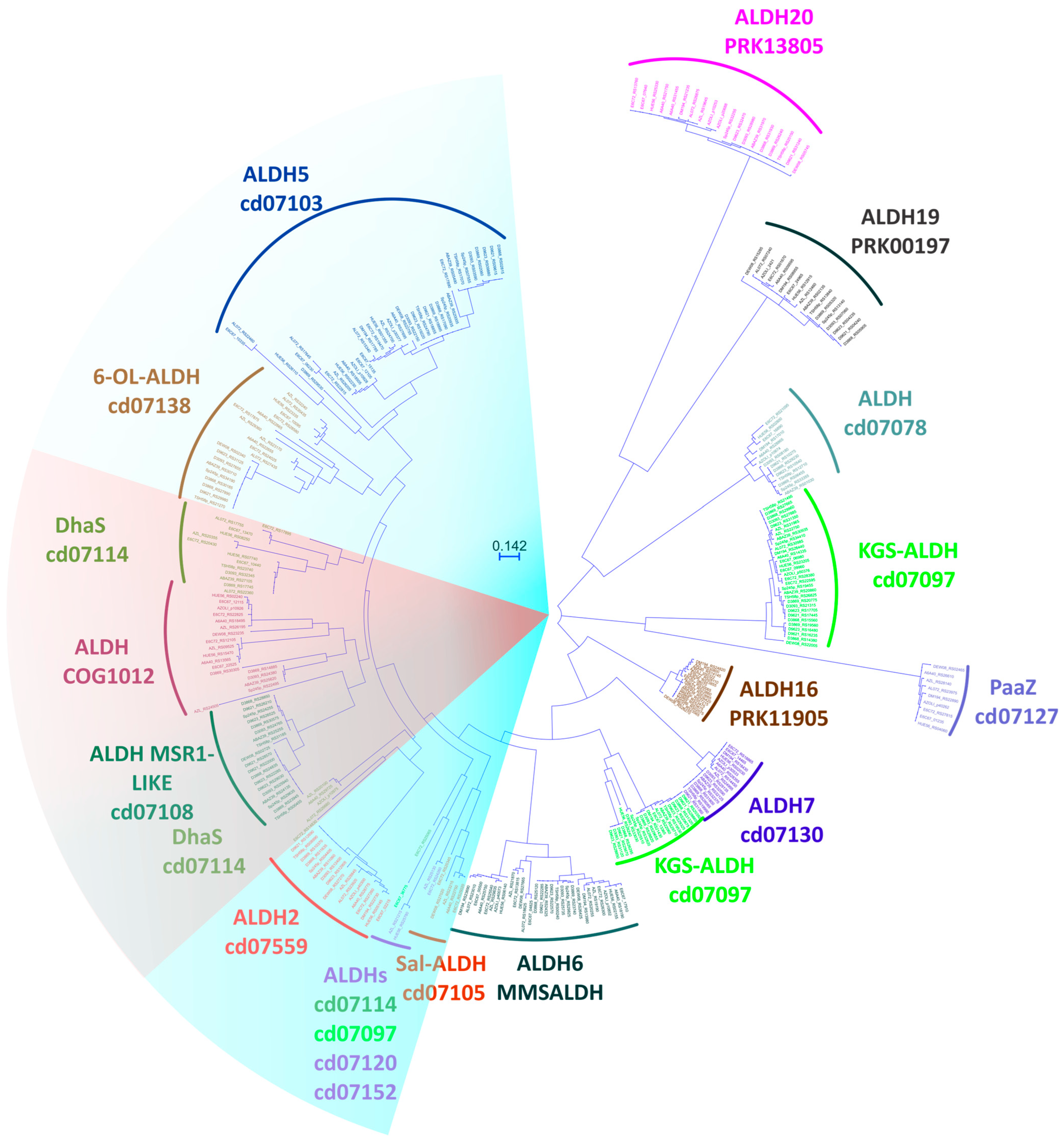 Diversity 15 01178 g004