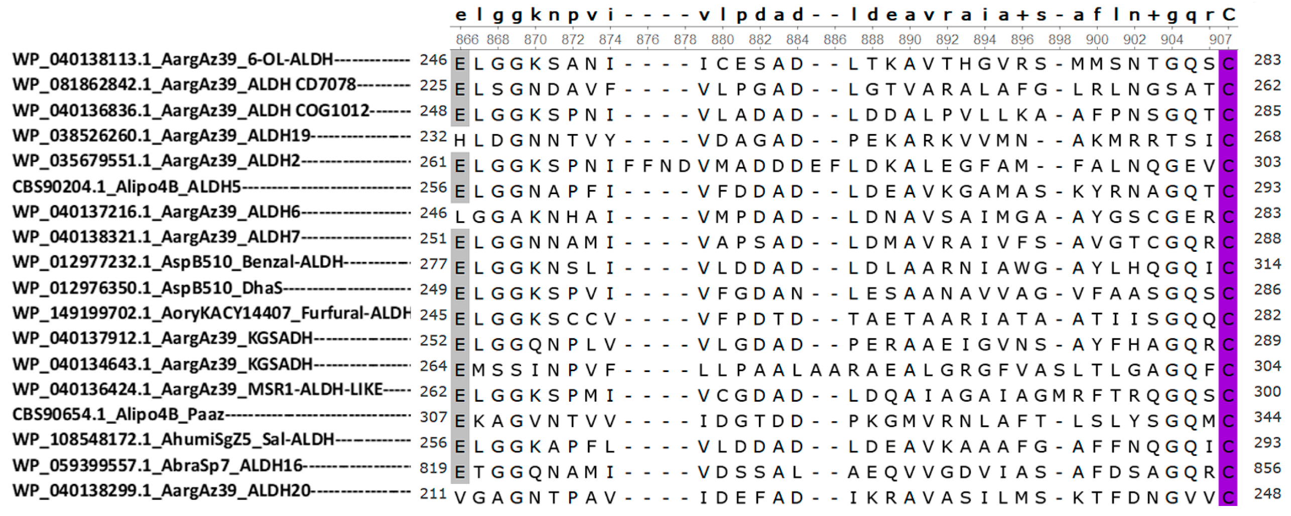 Diversity 15 01178 g006