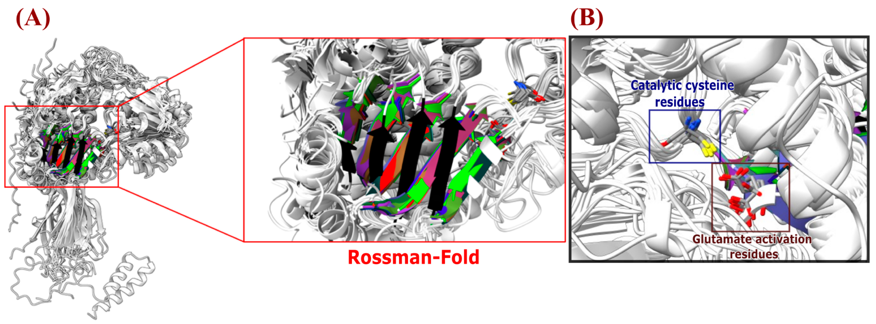 Diversity 15 01178 g007
