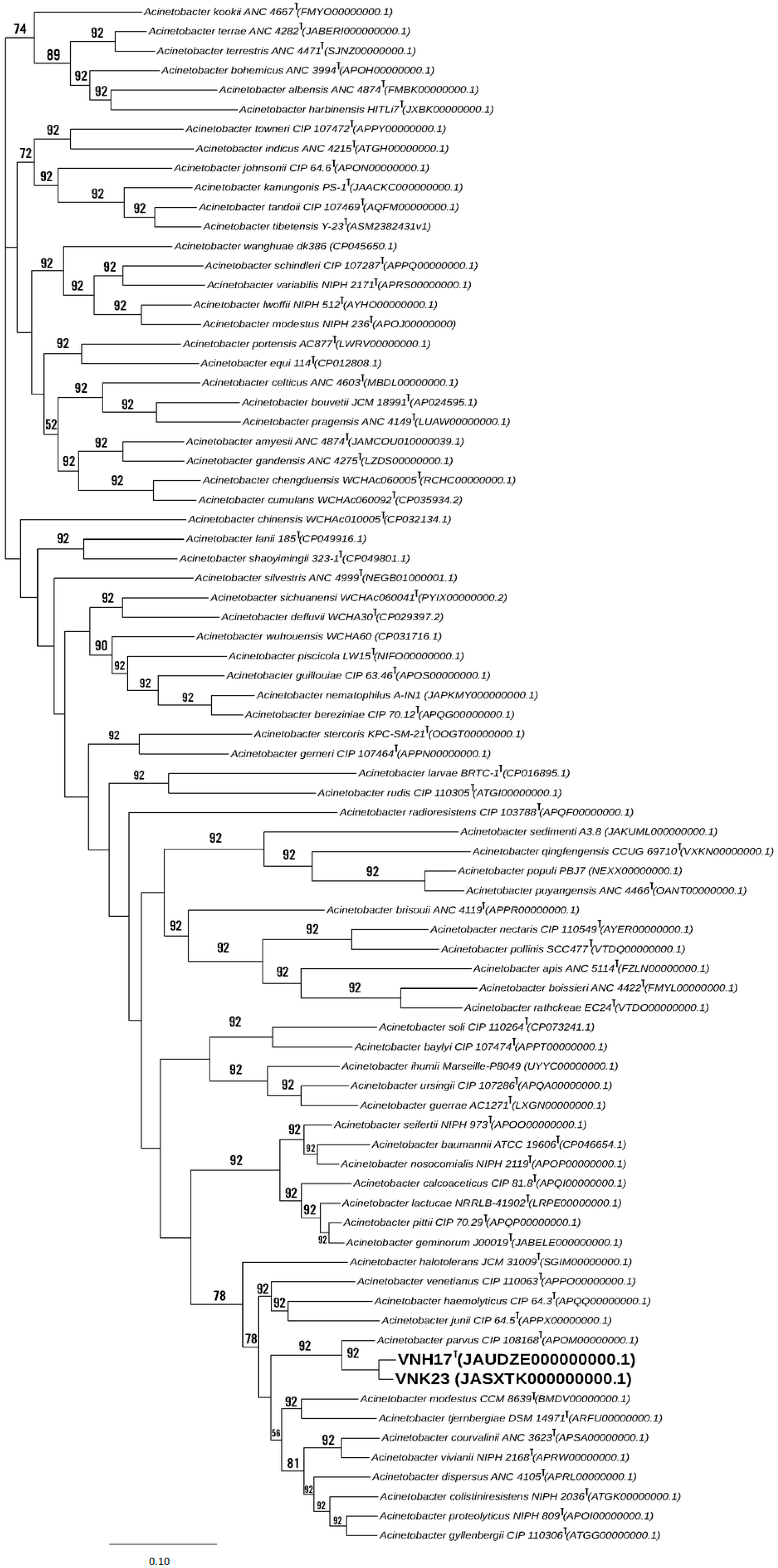 Diversity 15 01179 g001